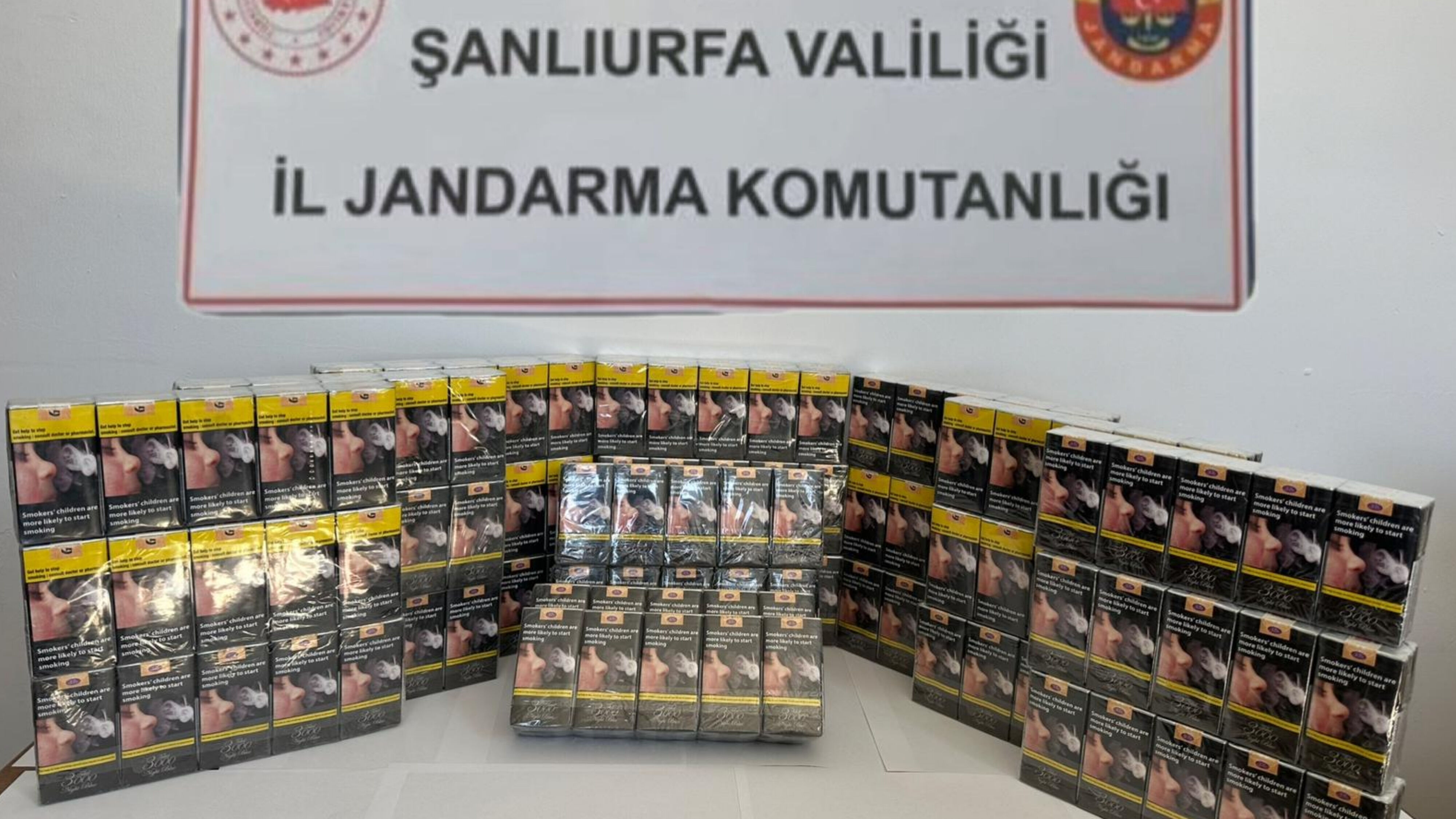 Şanlıurfa’nın Viranşehir İlçesinde Ele Geçirildi (2)