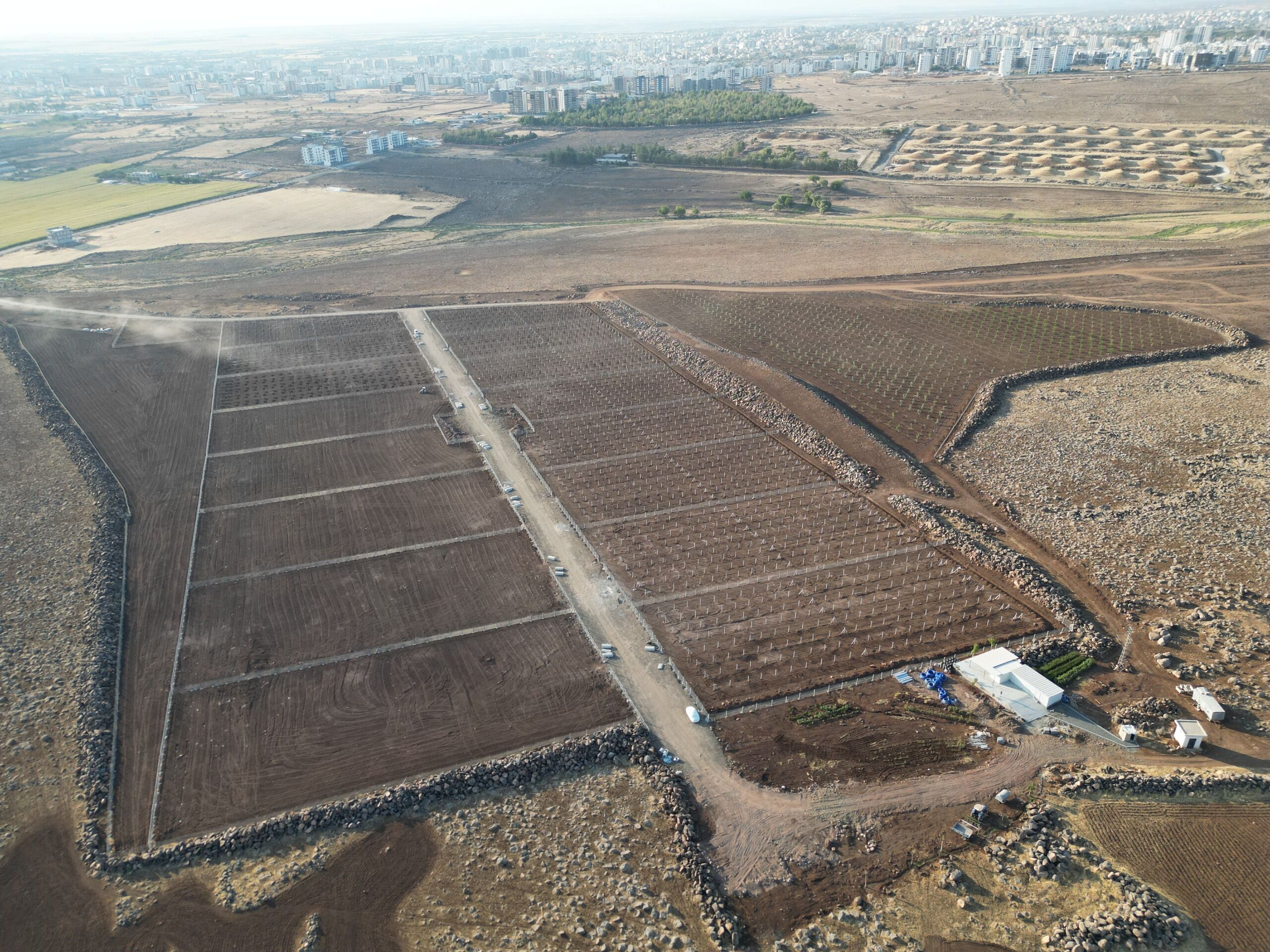 Şire