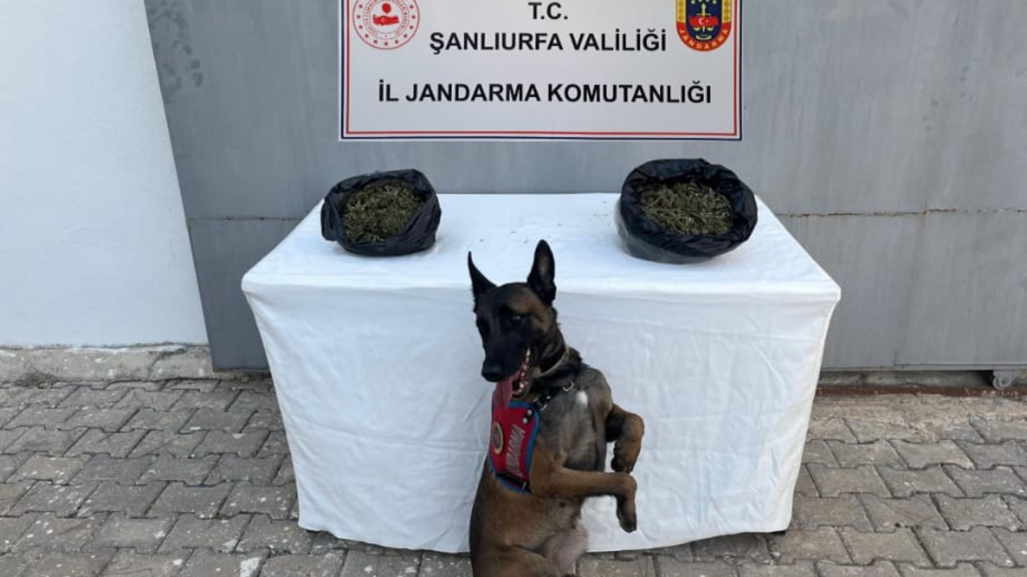 Uyuşturucu Yakalandı 2