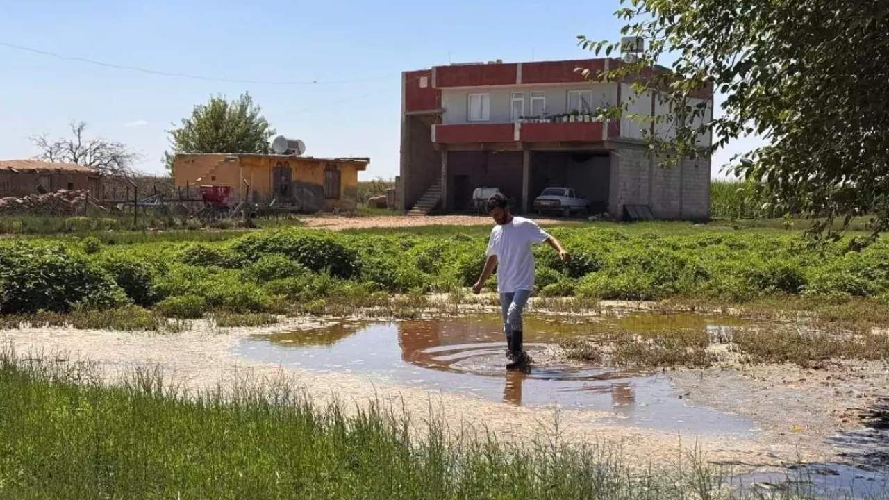 Ziraat Mühendisleri Odası Şanlıurfa Şube Başkanı Mehmet Süzen, Tarım Arazileri Betonlaşıyor Vatandaşlara Ve Ilgili Kurumlara Kritik Uyarılarda Bulundu (1)
