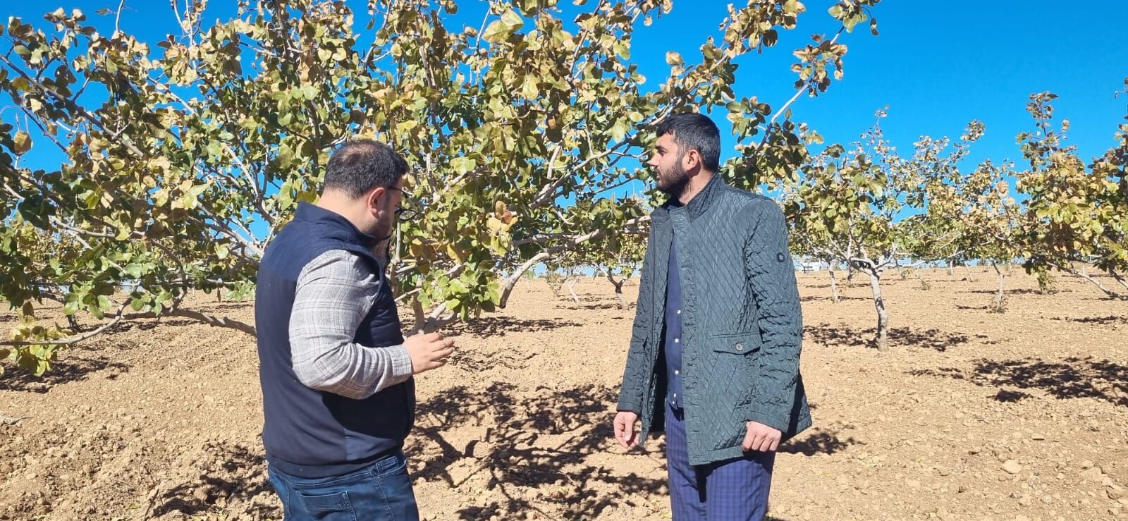 Zirai Doktorları Bozova’da Harekete Geçti Görsel 2