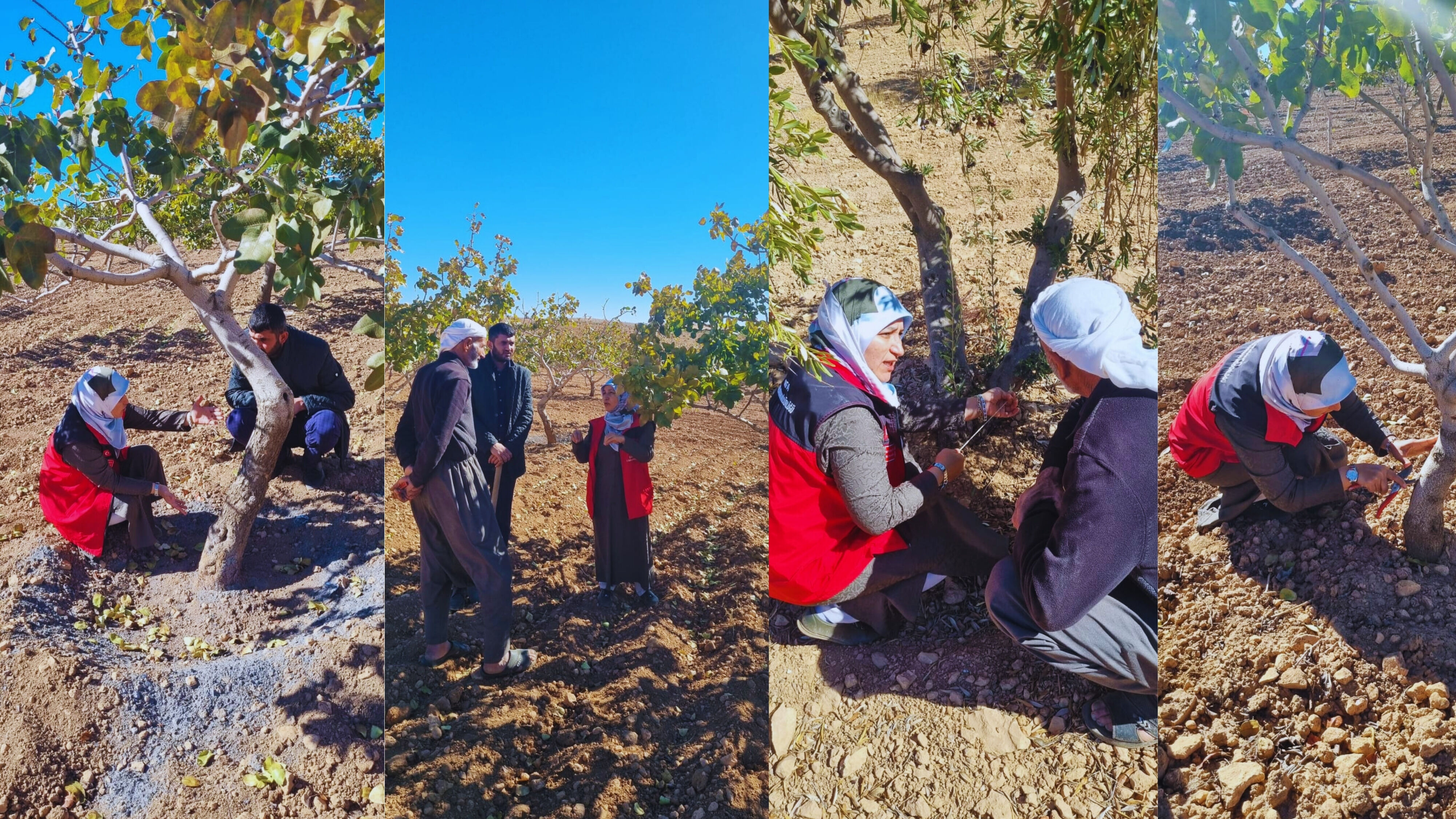 Zirai Doktorları Bozova’da Harekete Geçti Görsel1