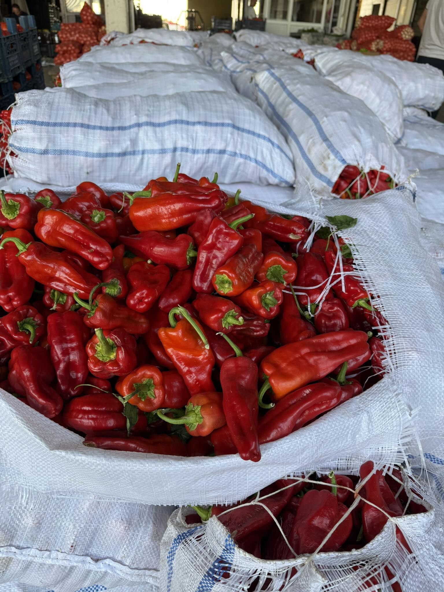 Şanlıurfa’da Soğuk Hava İsotun Ateşini Söndürmedi