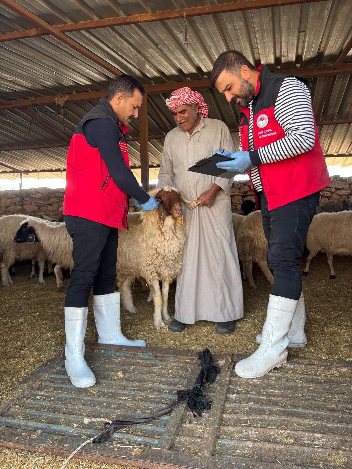 Şanlıurfa’da Yerli Irklar İçin Denetim Seferberliği!