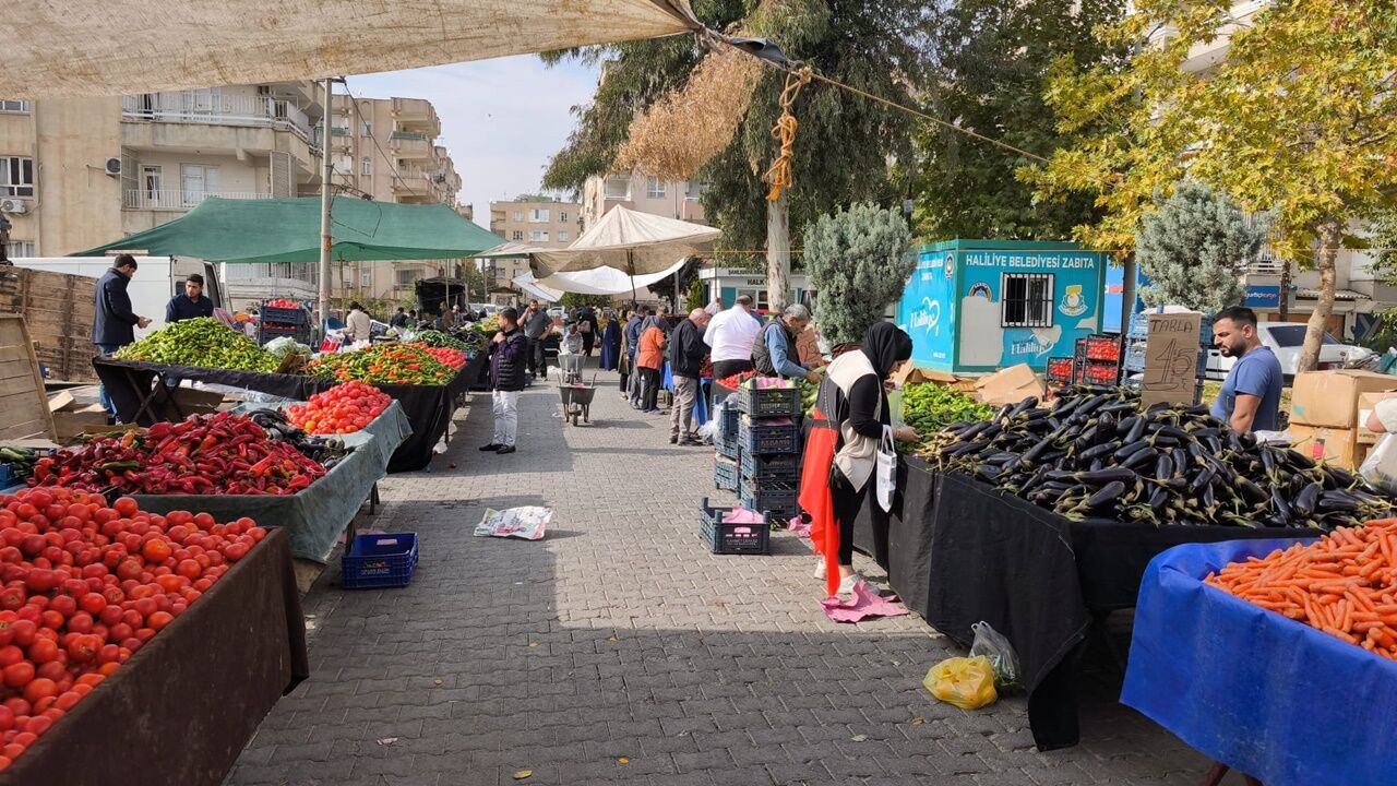 Market Fiyatları Düşecek, Üretici Kazanacak: Devlet Ücretsiz Arsa Veriyor!