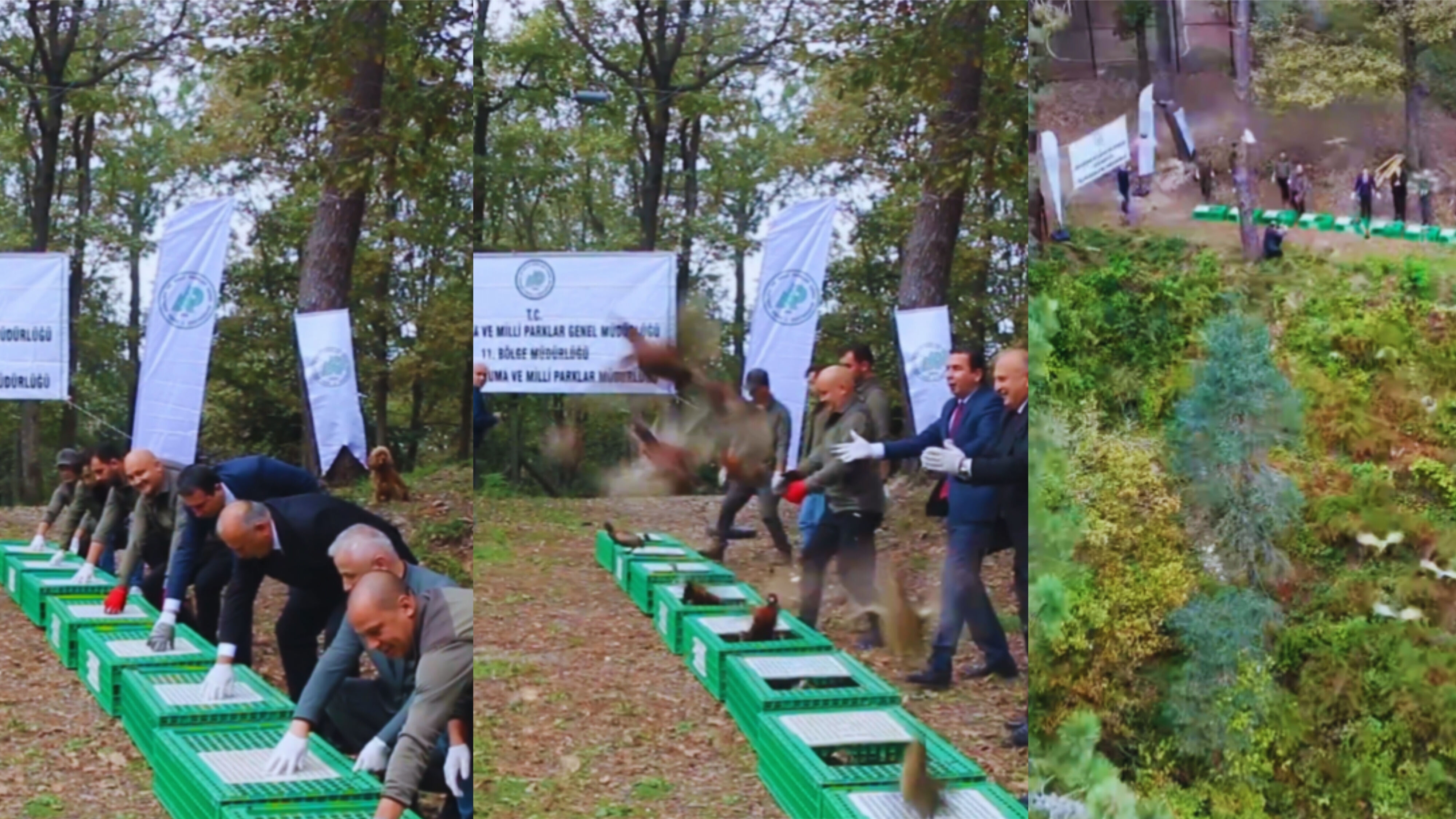 Doğanın Kahramanları Gökyüzüyle Buluştu