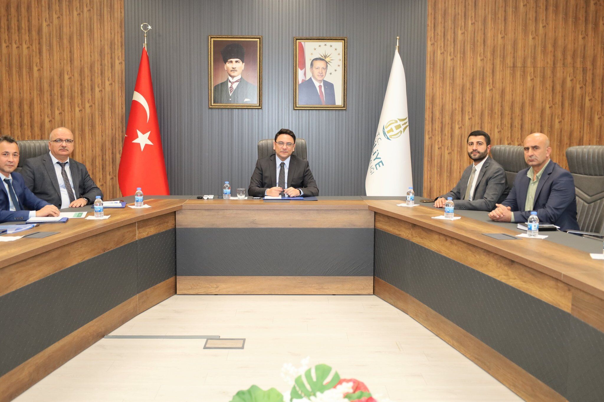 Haliliye Sokak Hayvanları