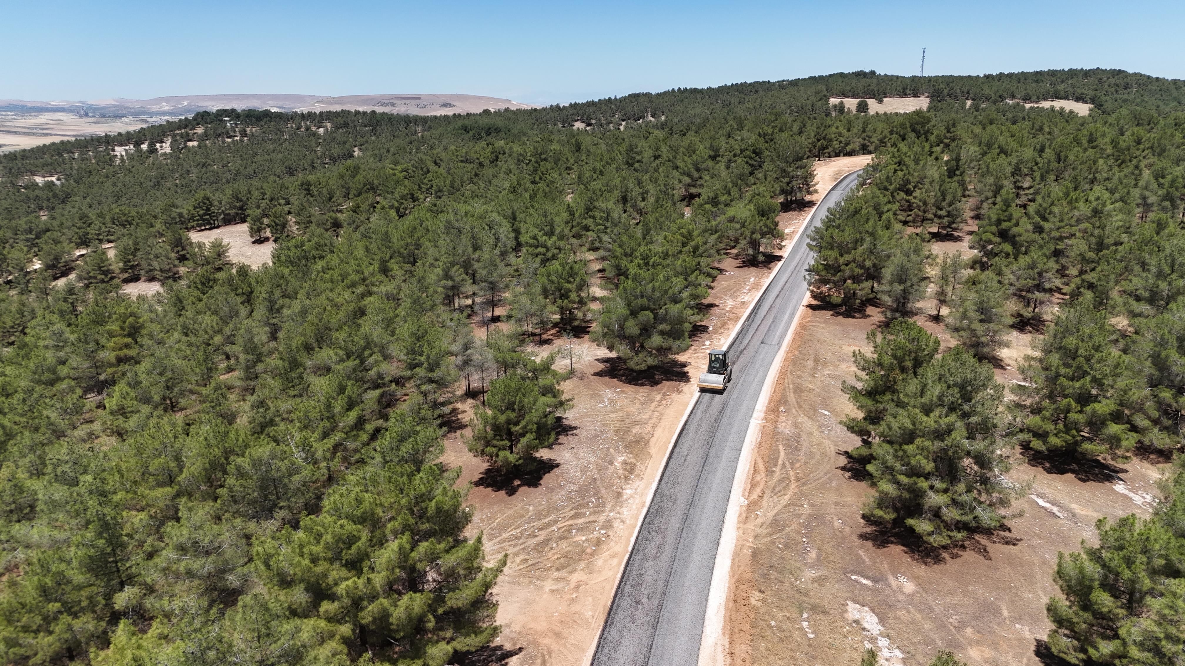 Kköprübld Gölpınar Tabiat Parkında