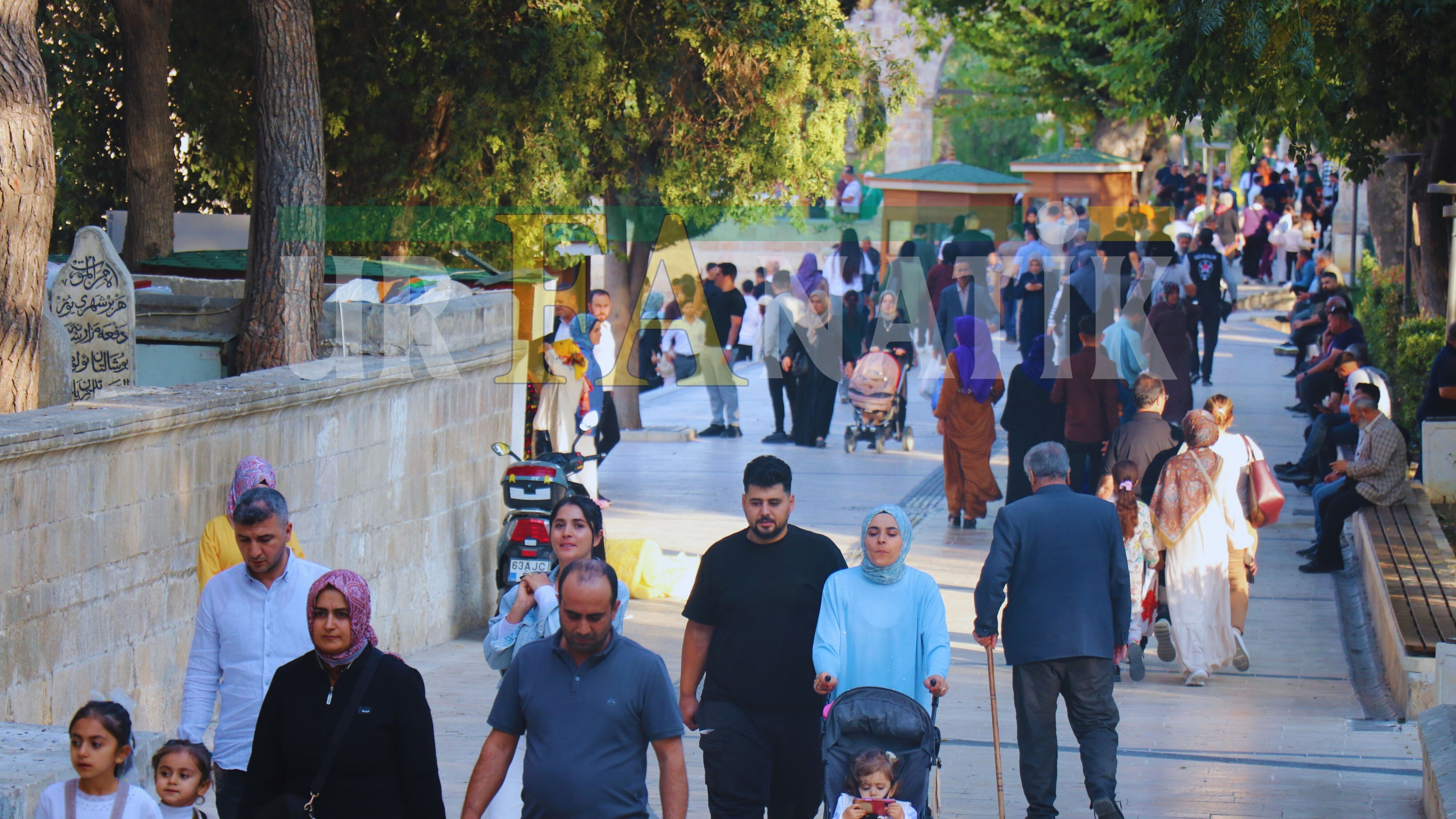 Şanlıurfa Balıklıgöl görsel 5