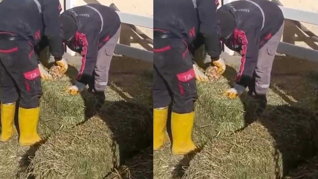 Şanlıurfa’daki Skandal Olay Kameraya Yansıdı! (1)-1