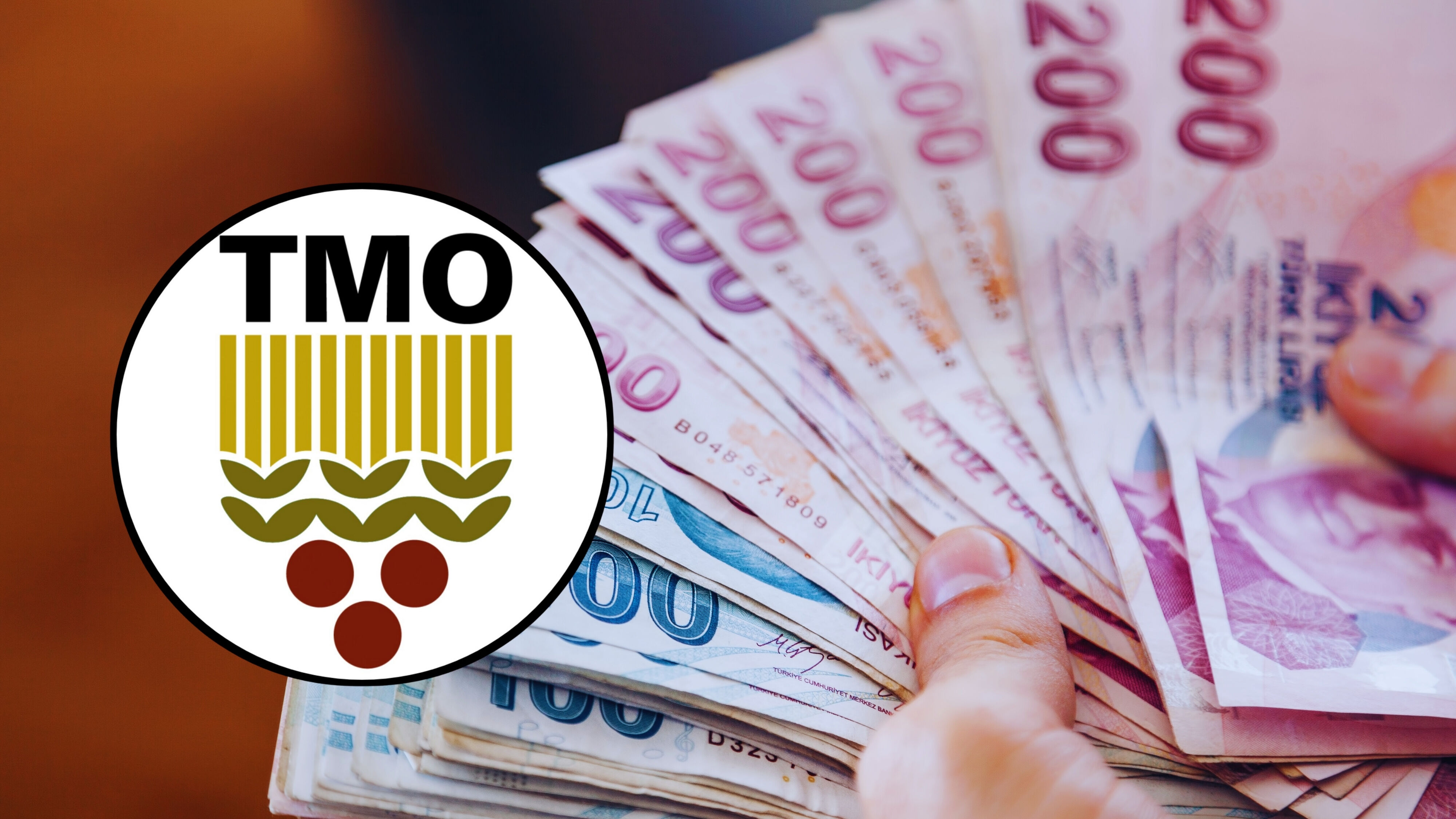 Tmo Destek