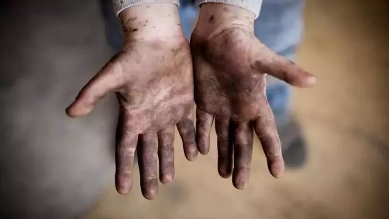 Türkiye, Mevsimlik Tarımda Çocuk İşçiliğine Karşı Bütüncül Modelle Mücadele Ediyor (12)