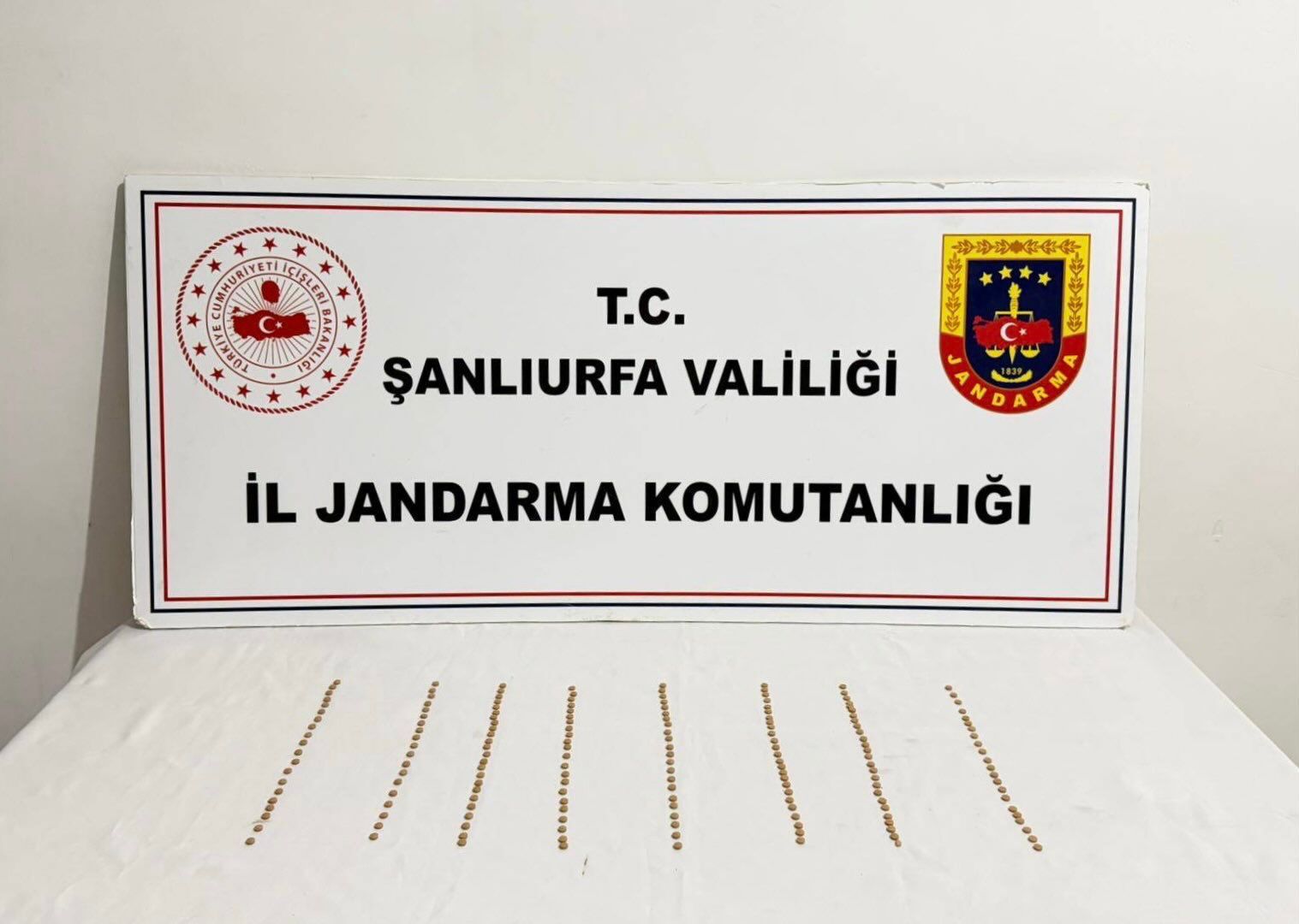 13 Şüpheli Yakalandı (2)