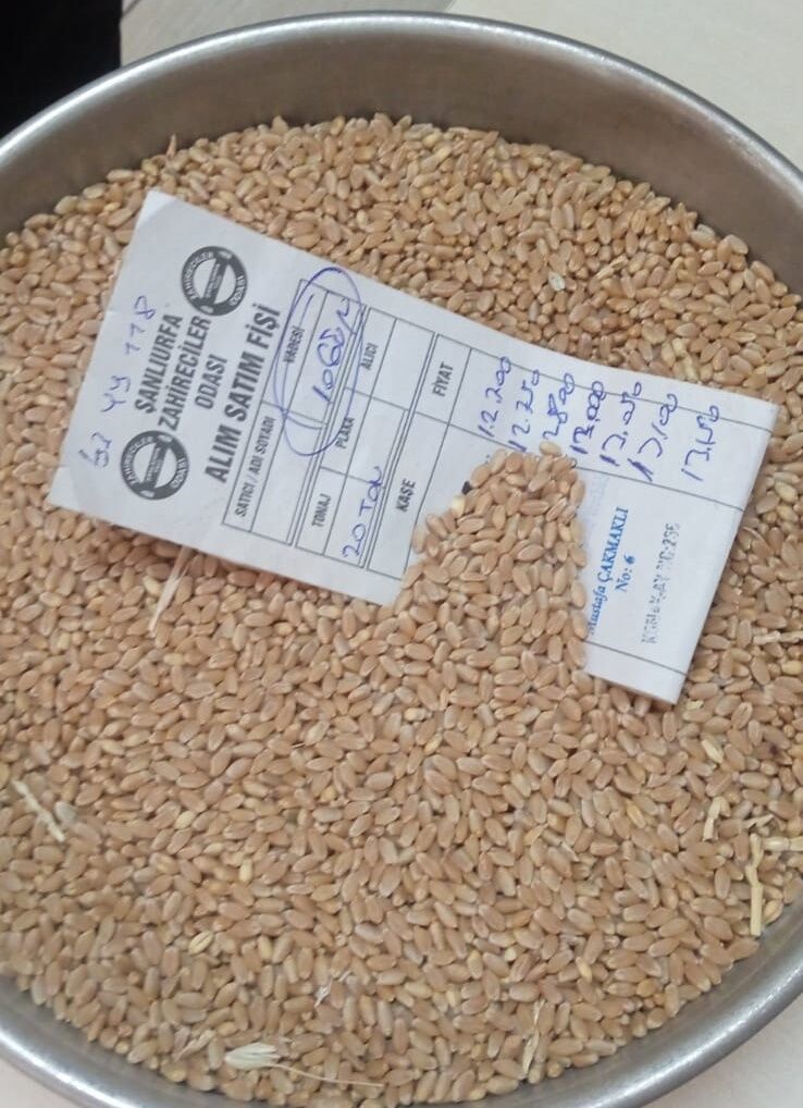 Şanlıurfa’da Hububat Fiyatları Patladı! Bu Yükselişin Arkasında Ne Var?