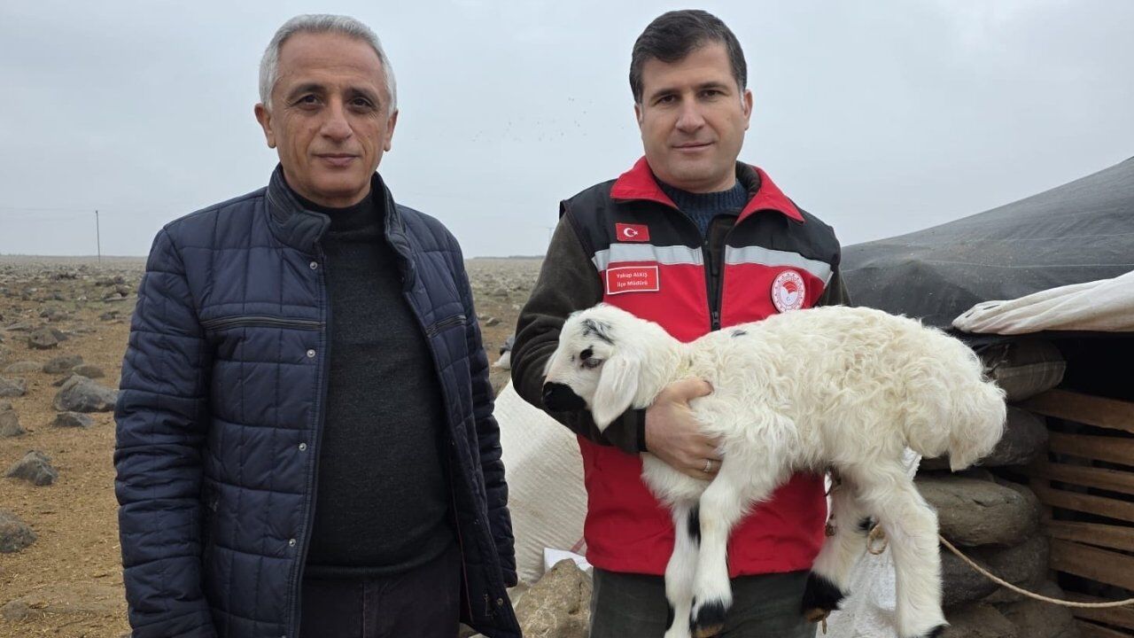 Karaköprü’de Seferberlik Başlatıldı! (2)