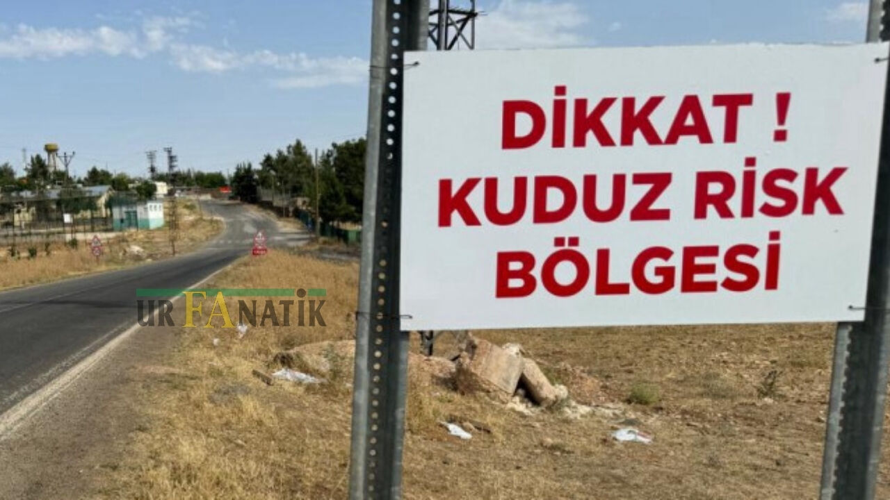 Siverek'te Bir Mahalle Kuduz Nedeniyle Karantinaya Alındı (2)