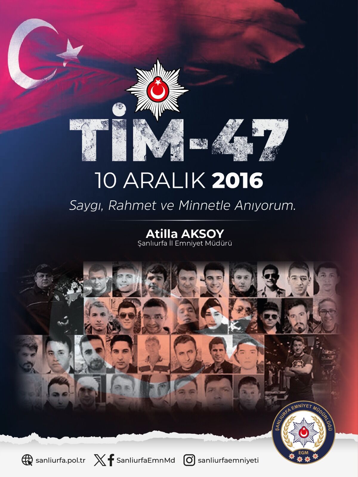 Tim 47