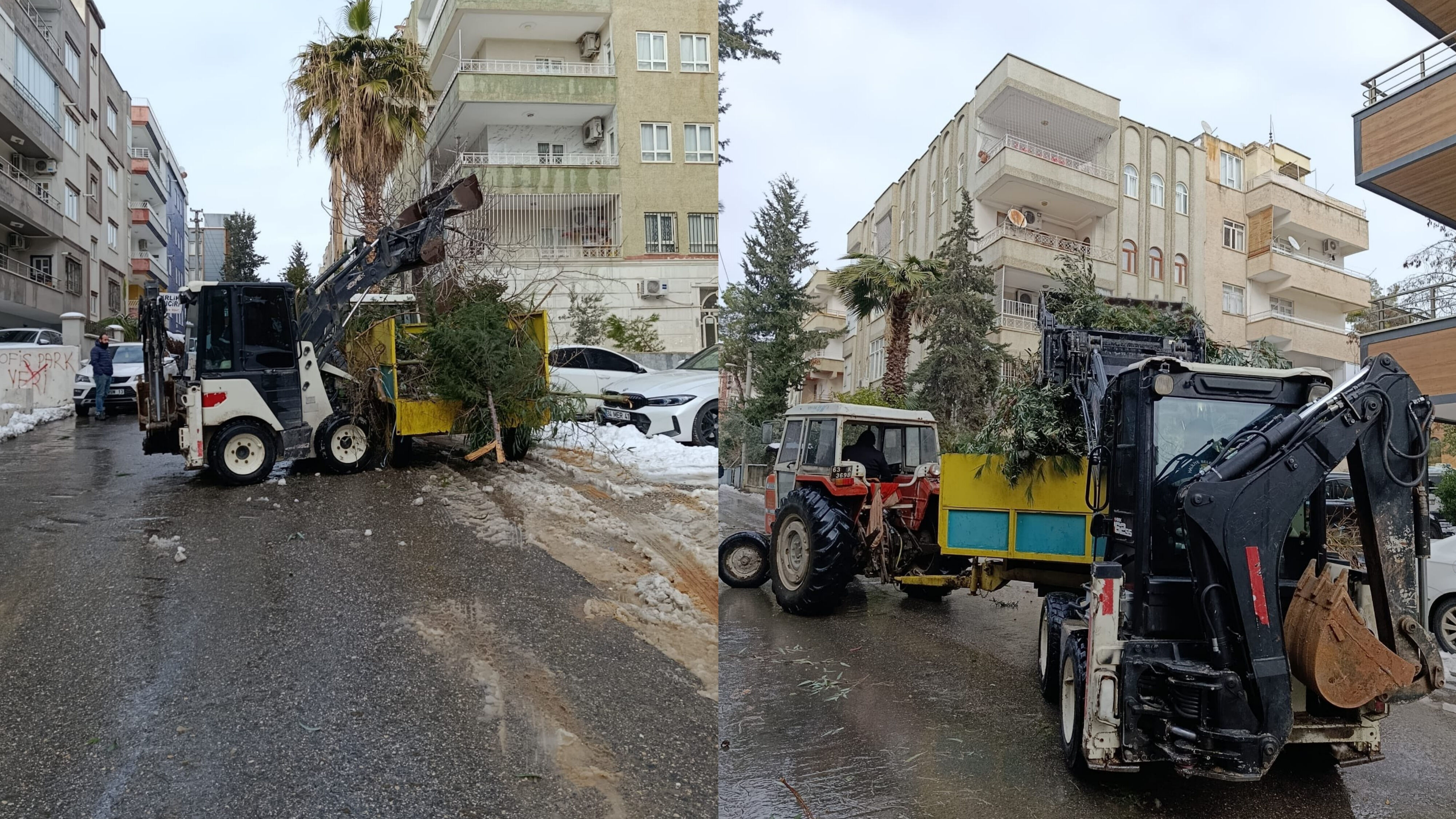 Devrilen Ağaçlara Haliliye Belediyesi’nden Hızlı Mücadele (2)