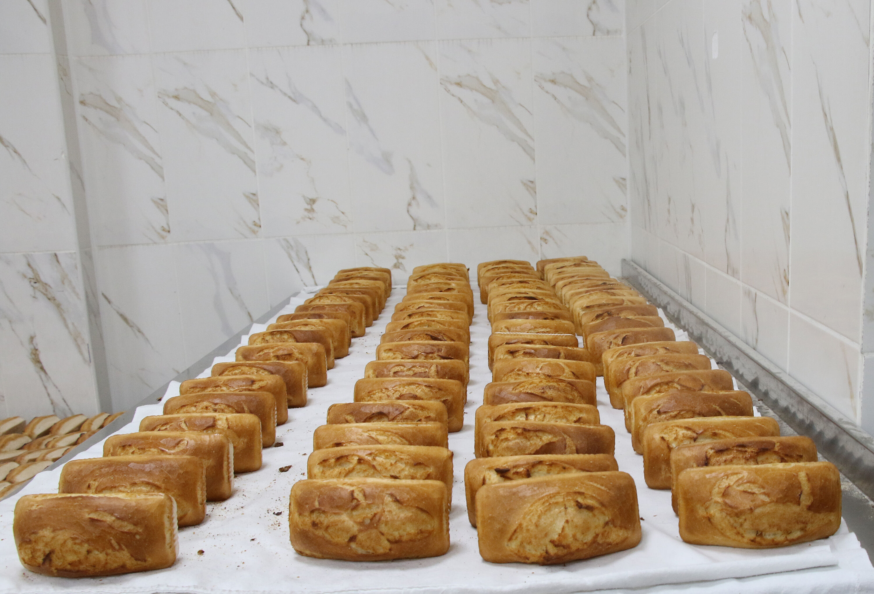 Hali̇li̇ye Beledi̇yesi̇’nden 2025’Te 700 Bi̇n Glutensi̇z Ekmek Desteği̇ (3)