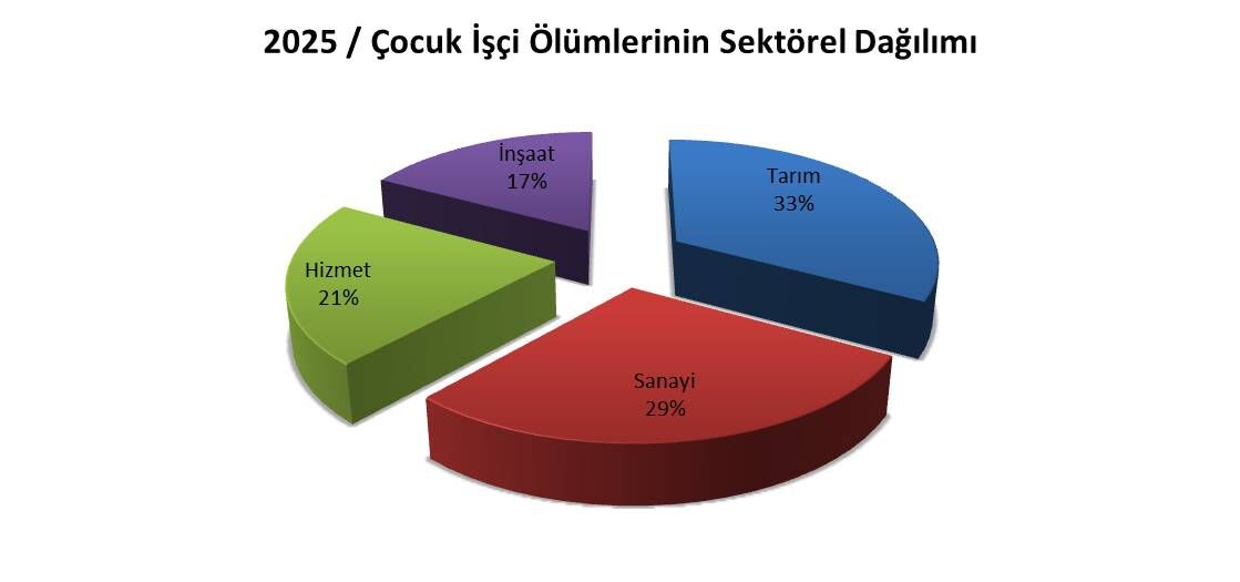 Sektorler