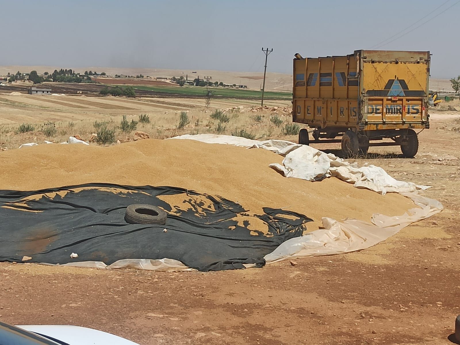 Pazarda Konuşulan Tek Şey Bu: Şanlıurfa’da Hububat Fiyatları