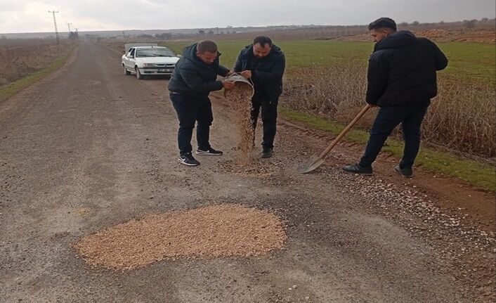 Belediye Gelmeyince Devreye Mahalleli Girdi (2)