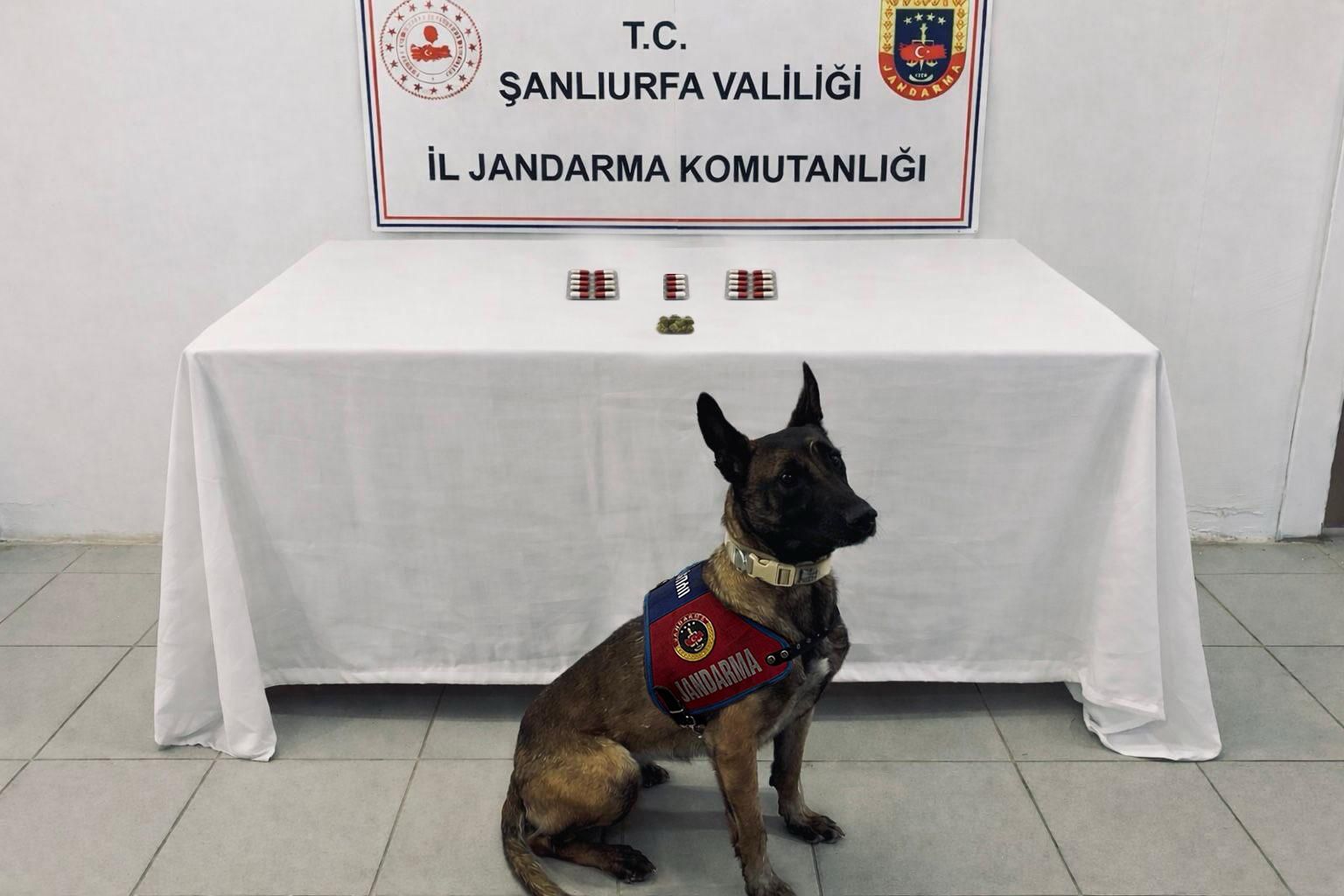 Hilvan, Siverek, Suruç Ve Viranşehir’de Nefes Kesen Operasyon-1