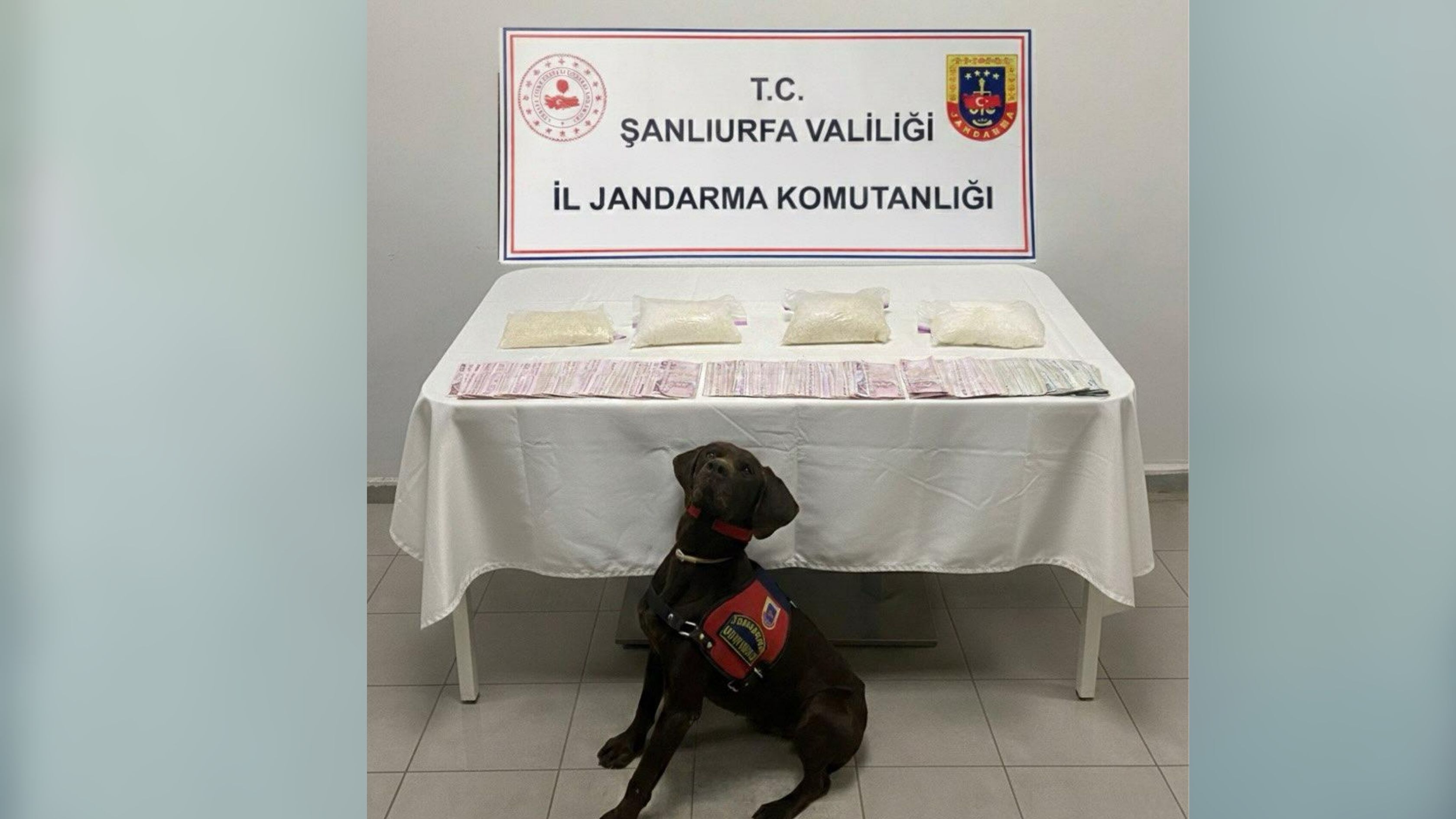 Jandarma Köpek