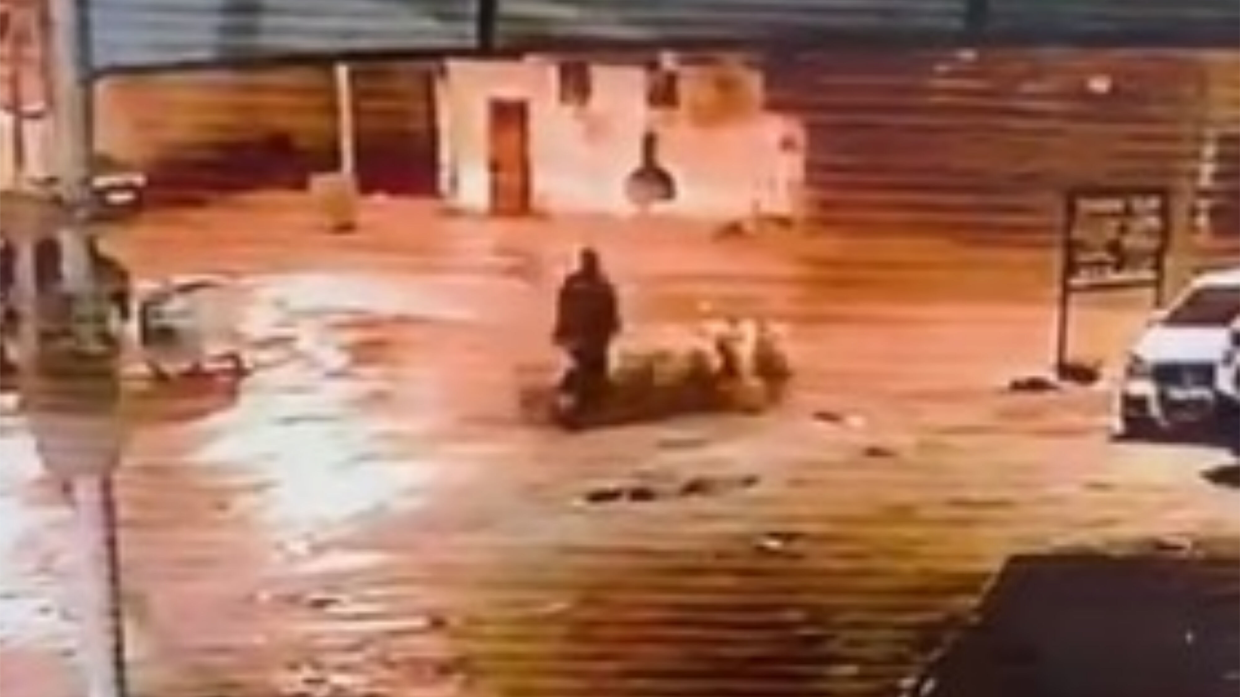 Şanlıurfa’da Koyun Hırsızlığı Güvenlik Kameralarına Saniye Saniye Yansıdı (2)