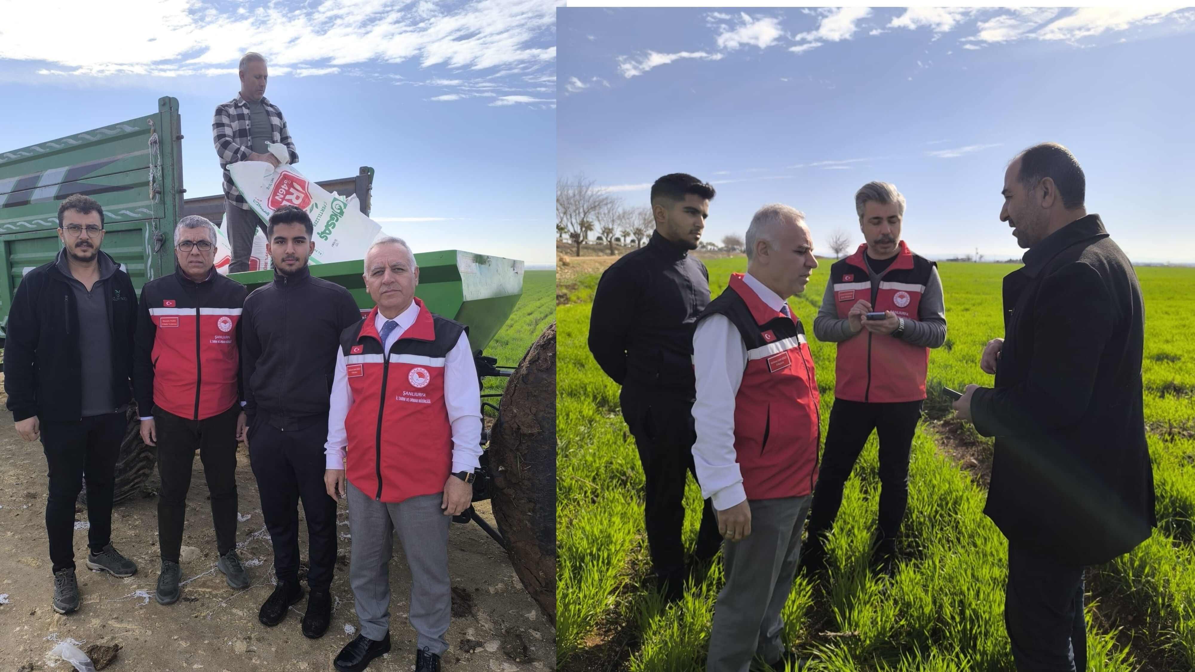 Şanlıurfa’da Tarımın Geleceği Yerinde İncelendi Hububat Ve Mercimek Tarlaları Mercek Altında-1