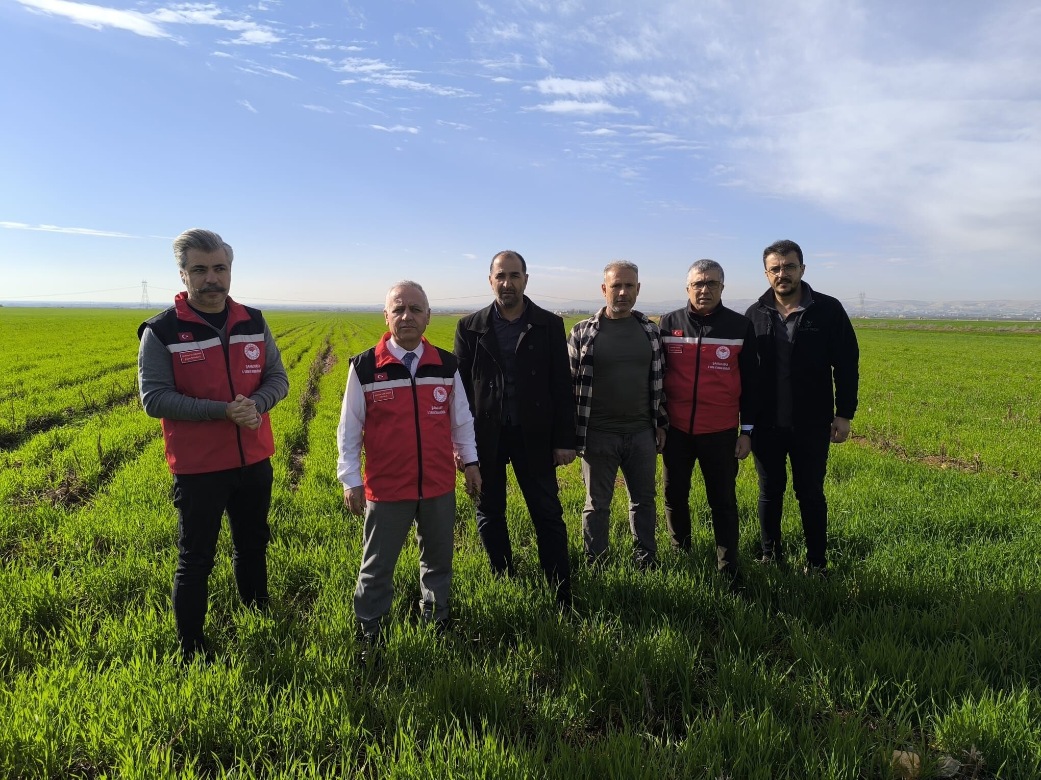 Şanlıurfa’da Tarımın Geleceği Yerinde İncelendi Hububat Ve Mercimek Tarlaları Mercek Altında-2