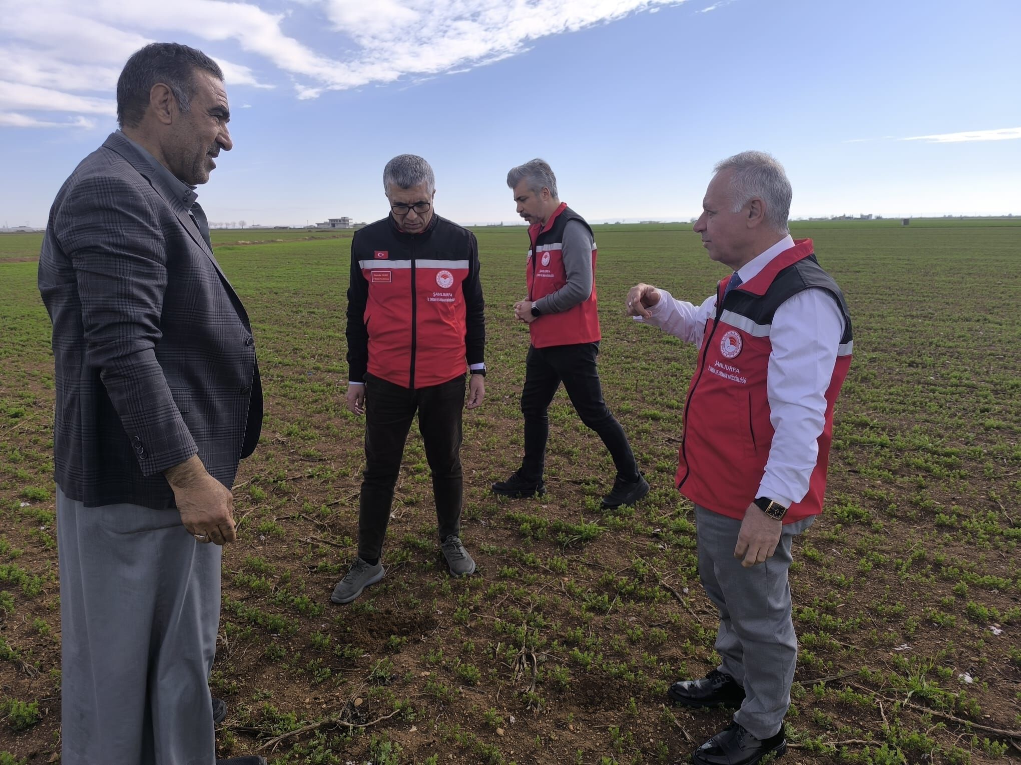 Şanlıurfa’da Tarımın Geleceği Yerinde İncelendi Hububat Ve Mercimek Tarlaları Mercek Altında-3