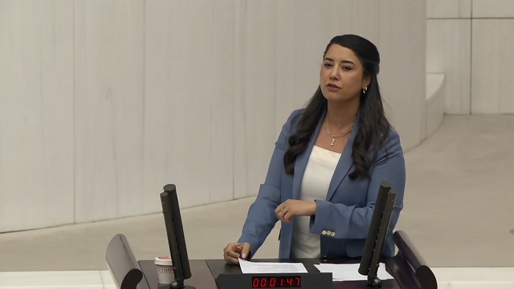 Dem Parti Urfa Milletvekili Dilan Kunt Ayan