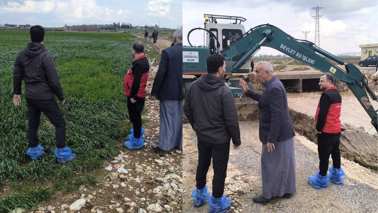 Haliliye İlçe Tarım Müdürlüğü saha hasar tespitine başladı-1