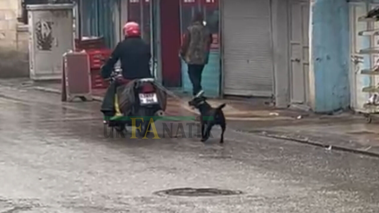 Şanlıurfa’nın Eyyübiye Ilçesinde Köpeği Motosikletle Çeken Sürücü Tepkilere Neden Oldu (4)