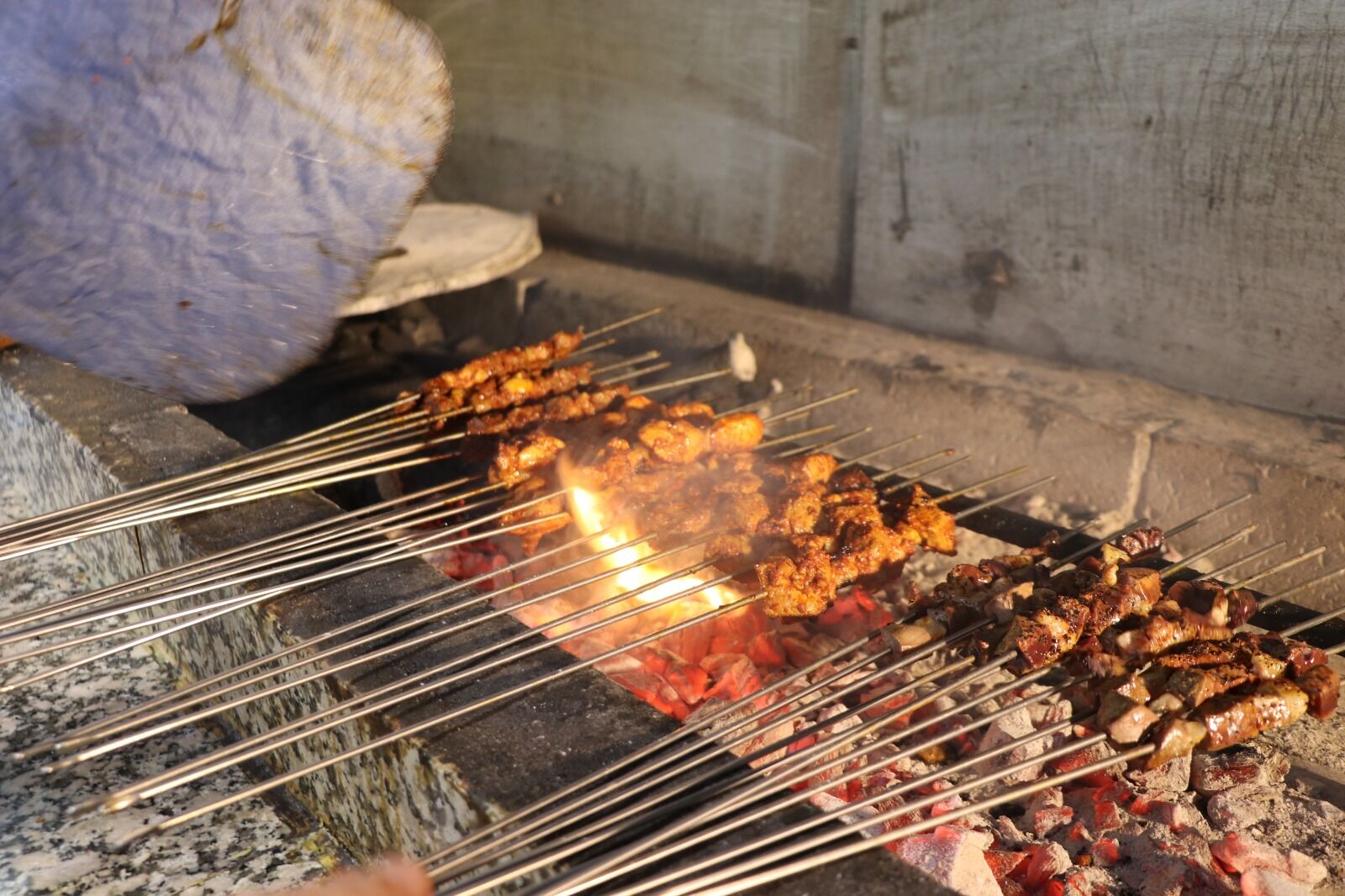 Ciğer (4)