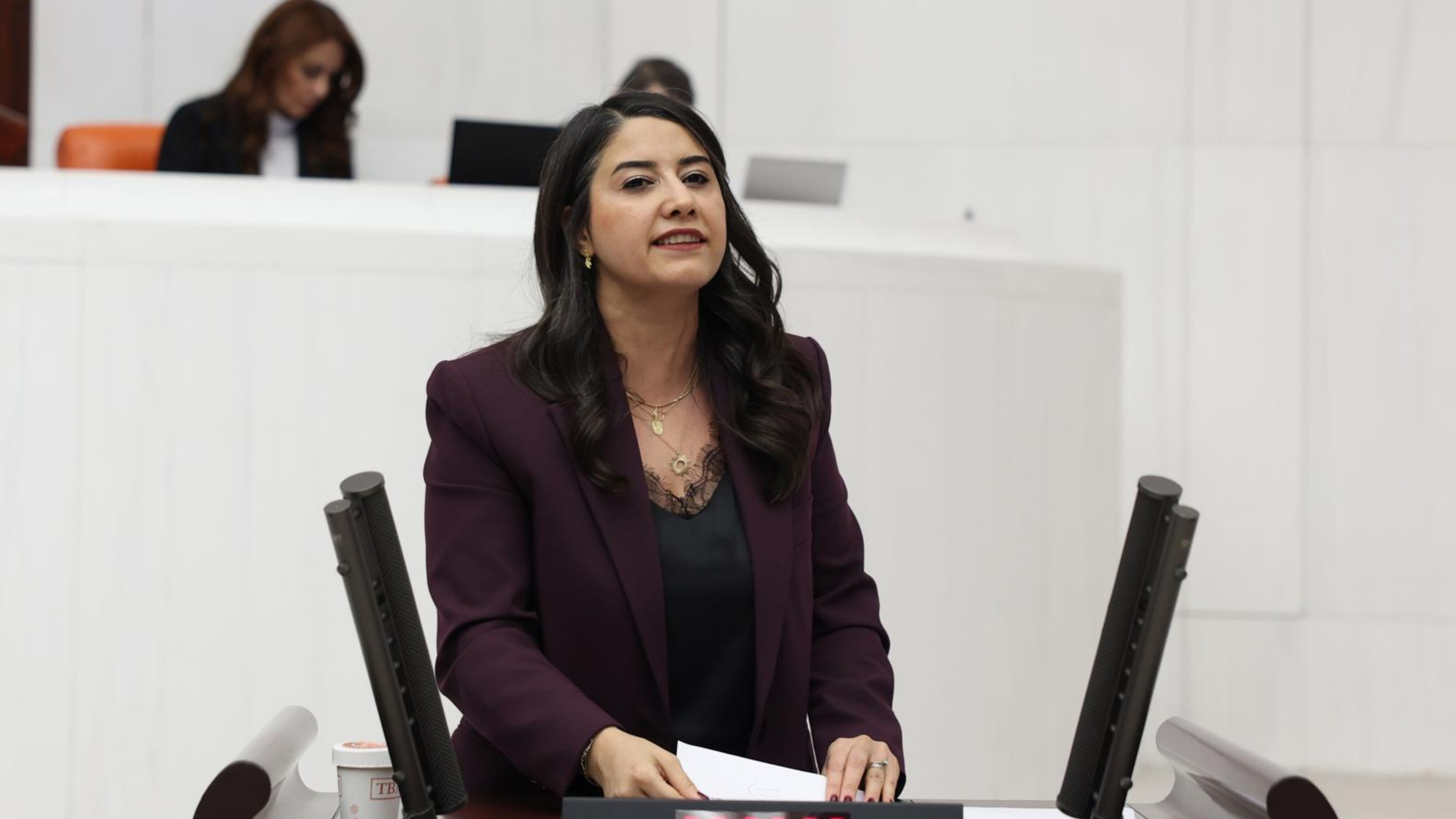Dem Parti Milletvekili Dilan Kunt Ayan’dan Hatay Açıklaması