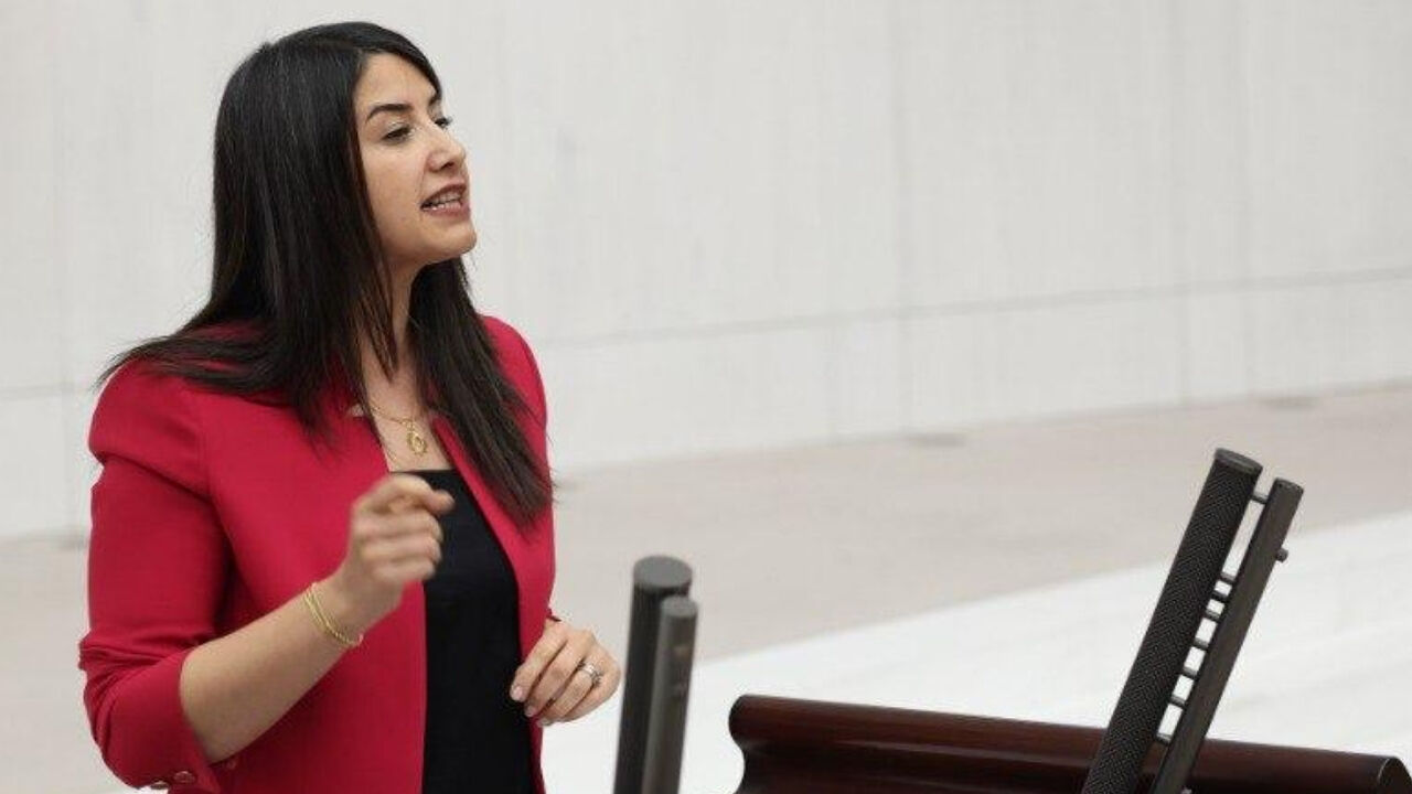 Dem Parti Şanlıurfa Milletvekili Dilan Kunt Ayan, Akçakale Gümrük Kapısı’nı Tbmm Gündemine Taşıdı (2)