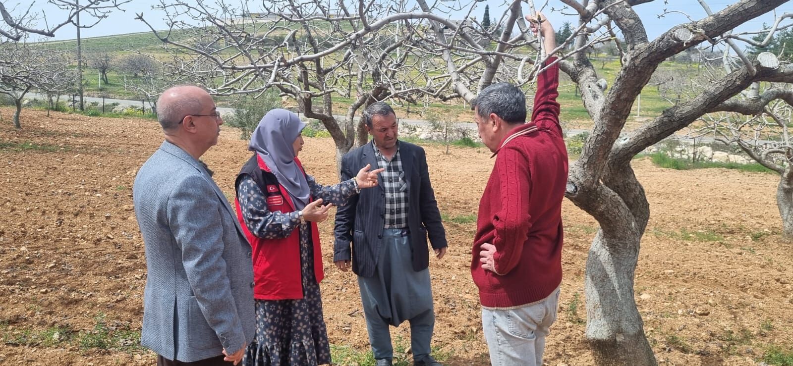 Fistikta Döllenme Dönemi̇ne Kri̇ti̇k Uyari