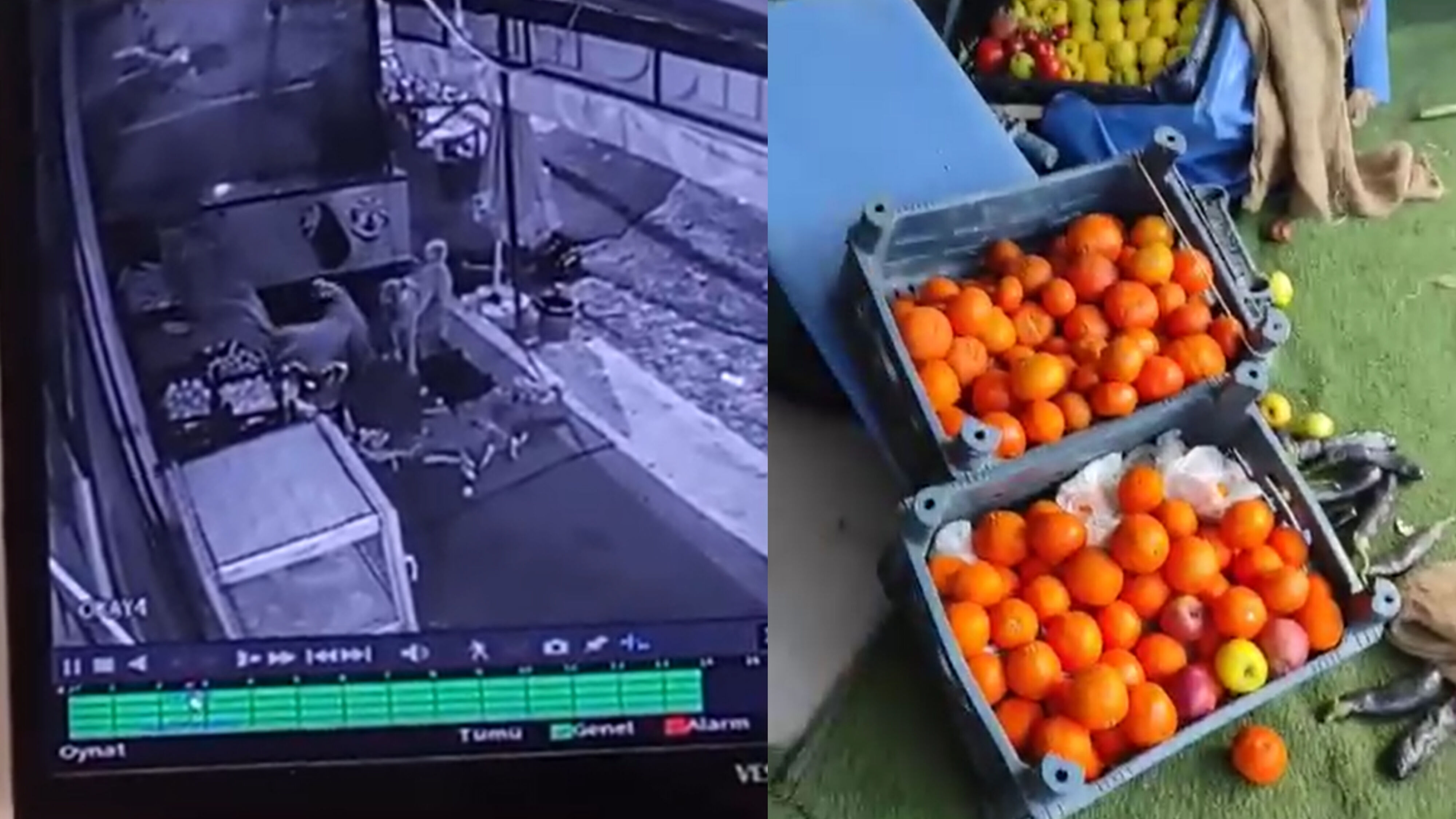 Karaköprü’de Meydana Gelen Ilginç Olay