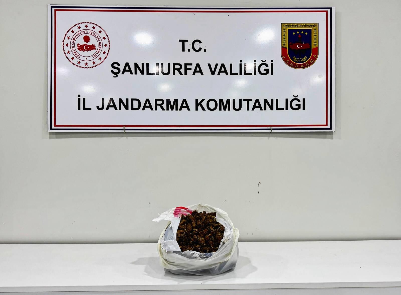 Kokain