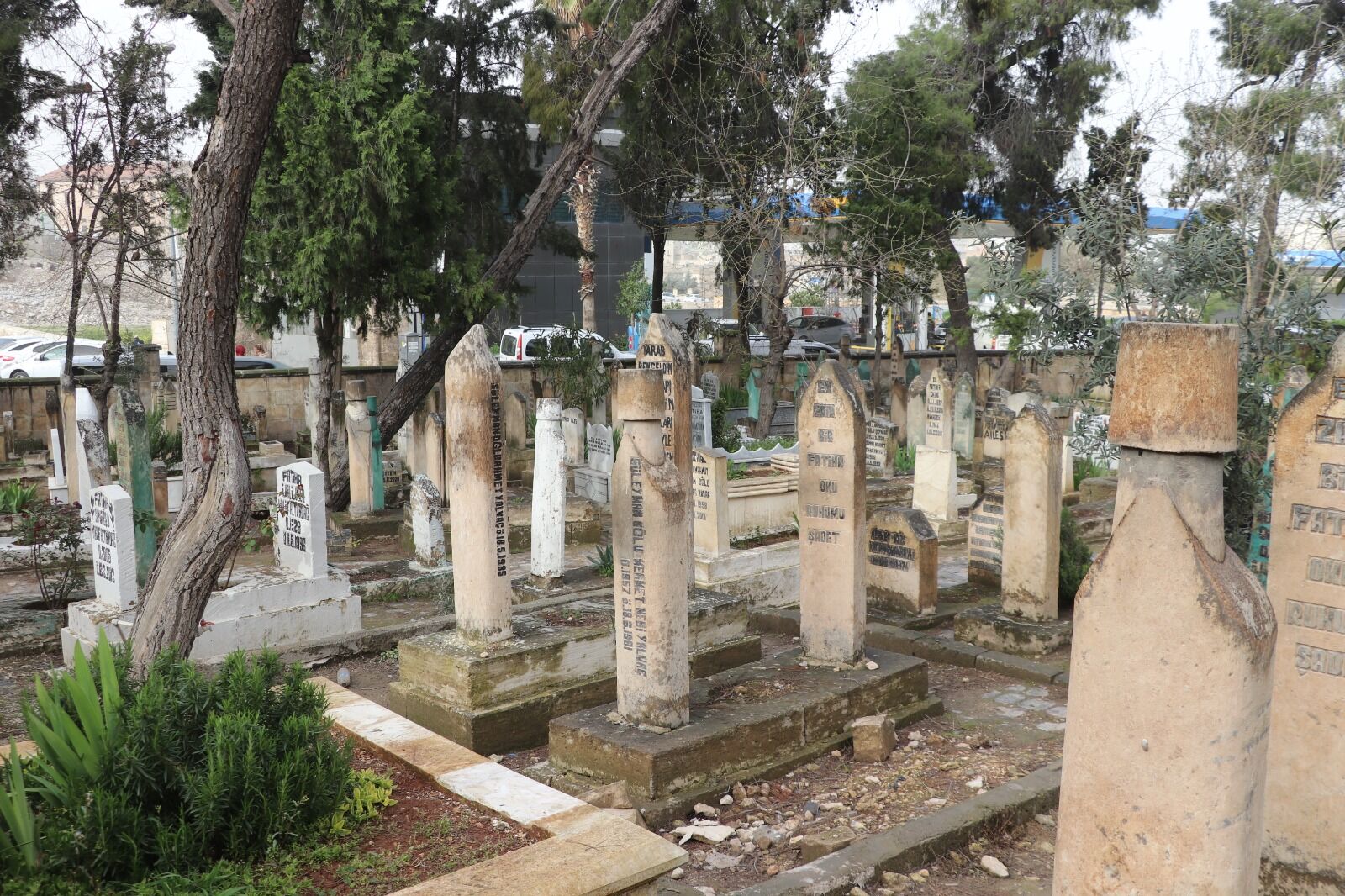 Mezarlık (2)