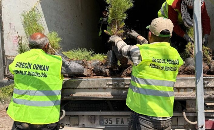 Şanlıurfa’dan Azerbaycan’a 23 Bin 500 Fidan Gönderildi (2)