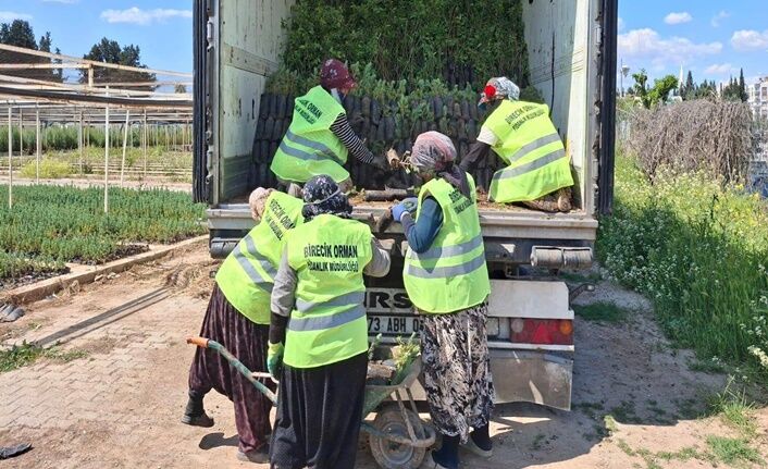 Şanlıurfa’dan Azerbaycan’a 23 Bin 500 Fidan Gönderildi (3)