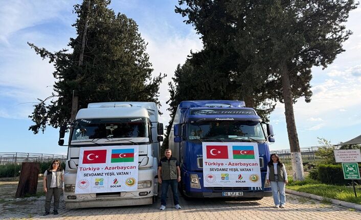 Şanlıurfa’dan Azerbaycan’a 23 Bin 500 Fidan Gönderildi (5)