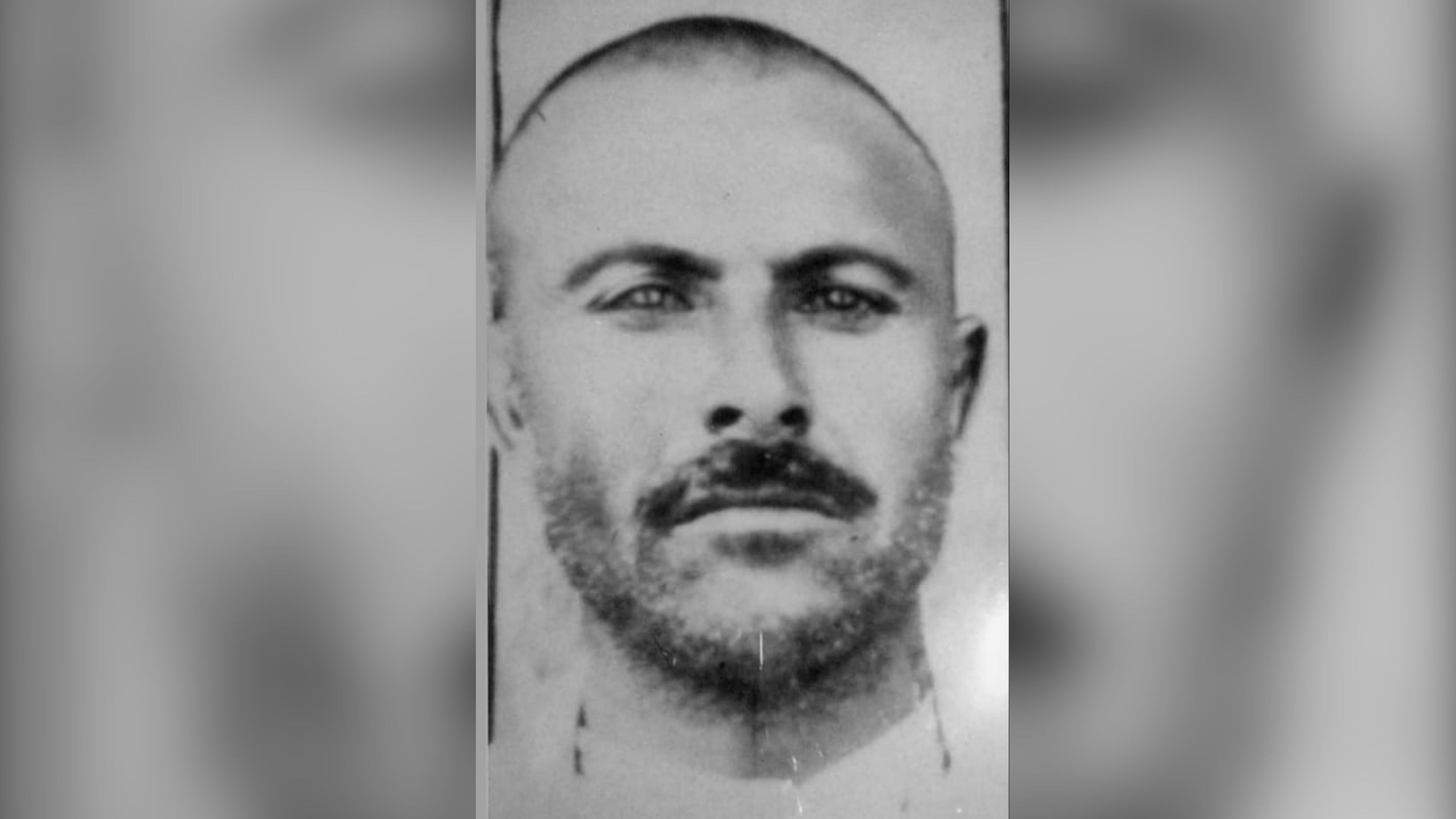 Şeyh Şebbo