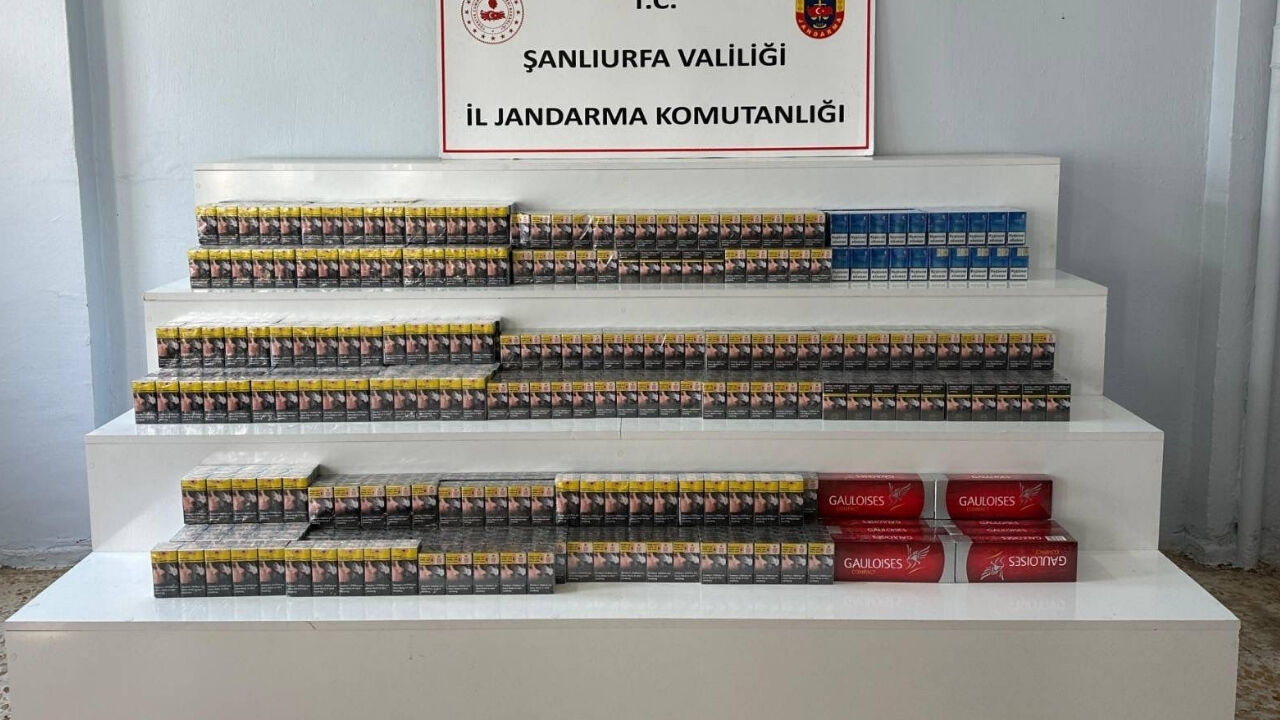Viranşehir’de Büyük Operasyon! Binlerce Adet Ele Geçirildi… (3)