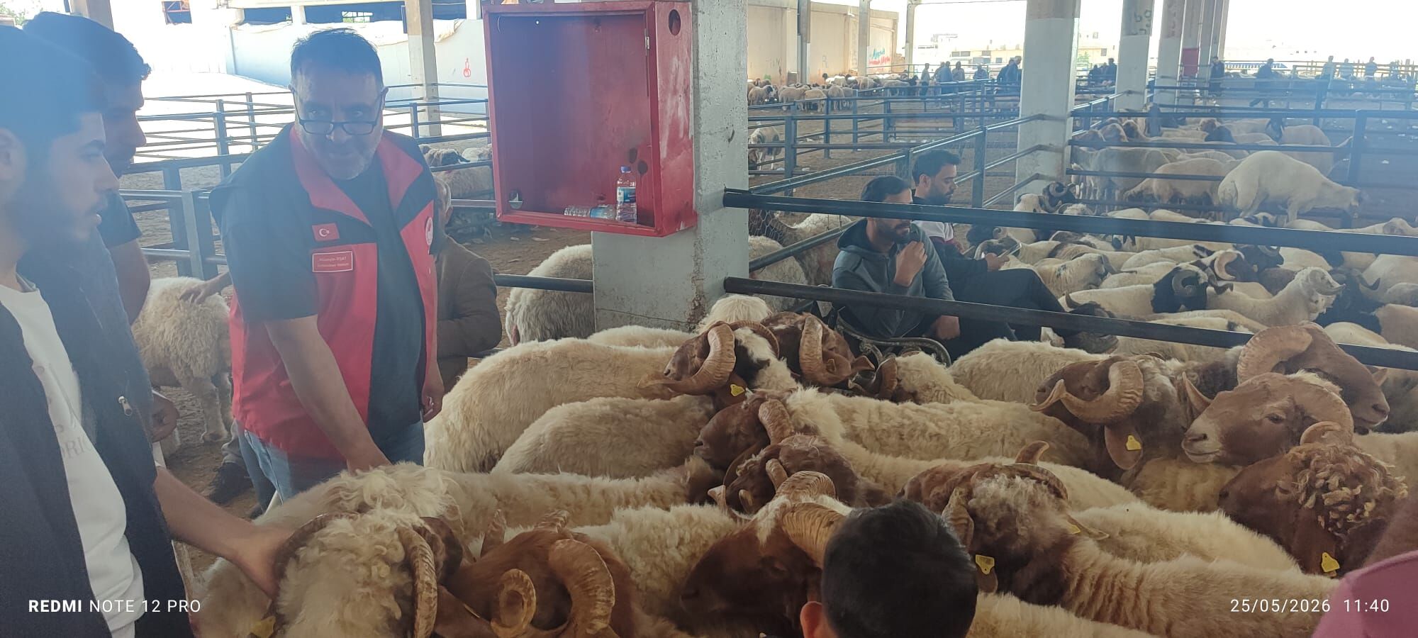 Eyyübiye İlçe Tarım Müdürlüğünden Kurbanlık Seçimi Ve Kesim Uyarısı 2