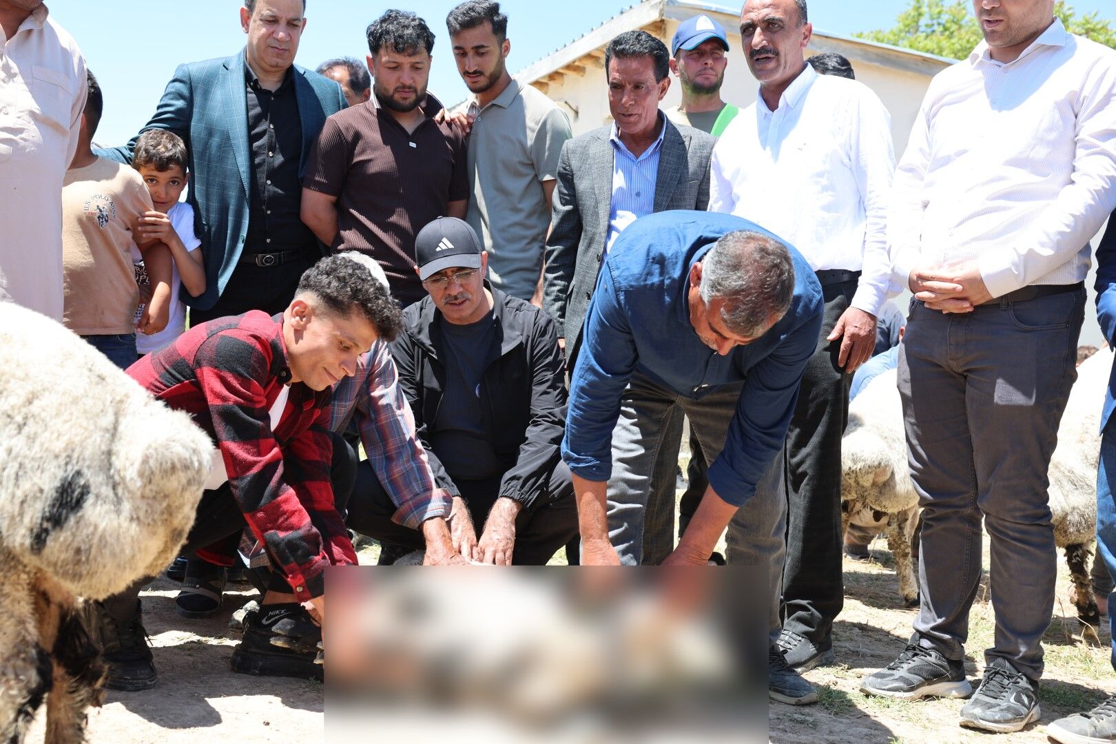 Eyyubiye Tarim Iscileri Kurban (4)