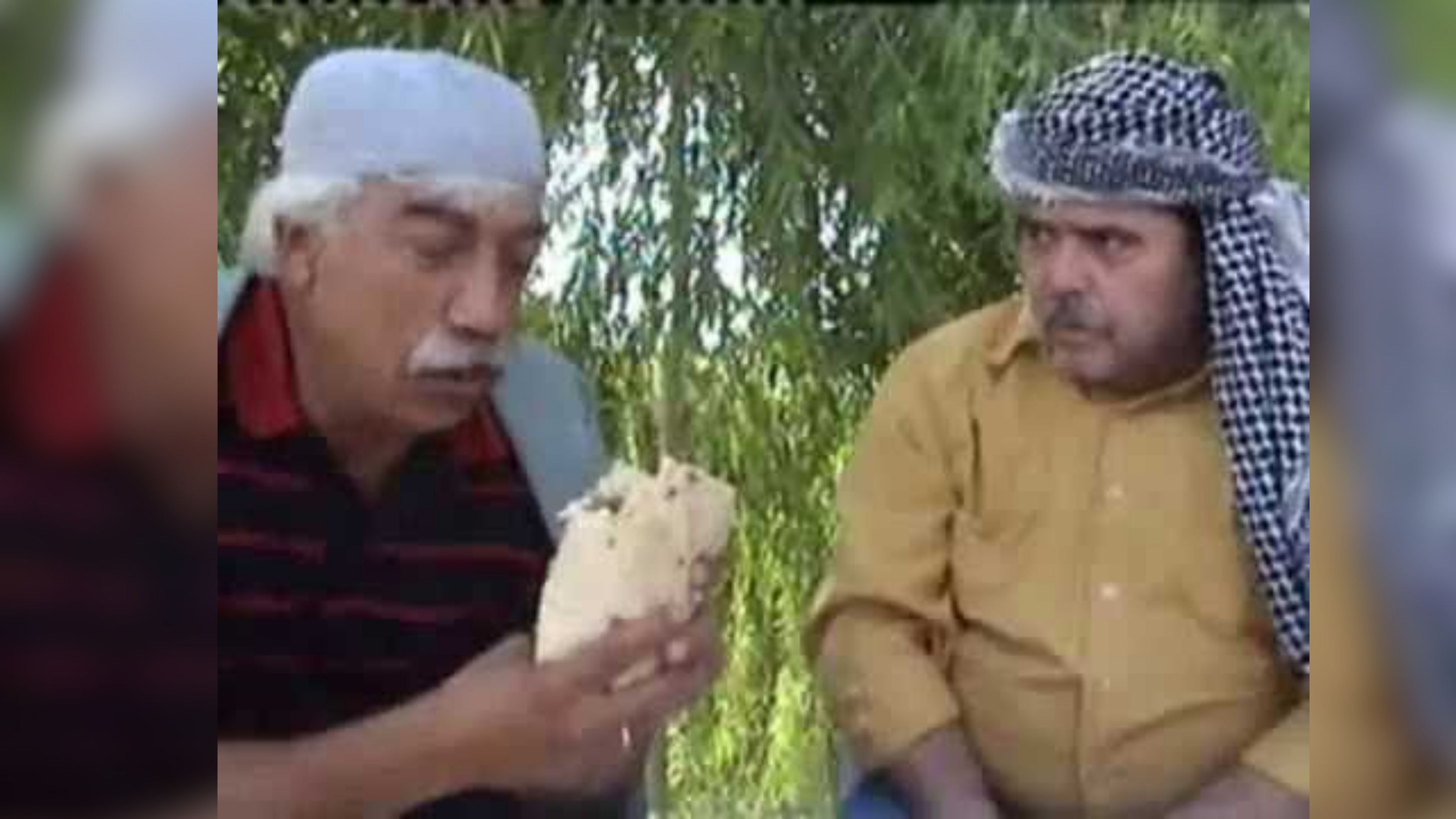 Halil Sayıner Acil Güldürü 1